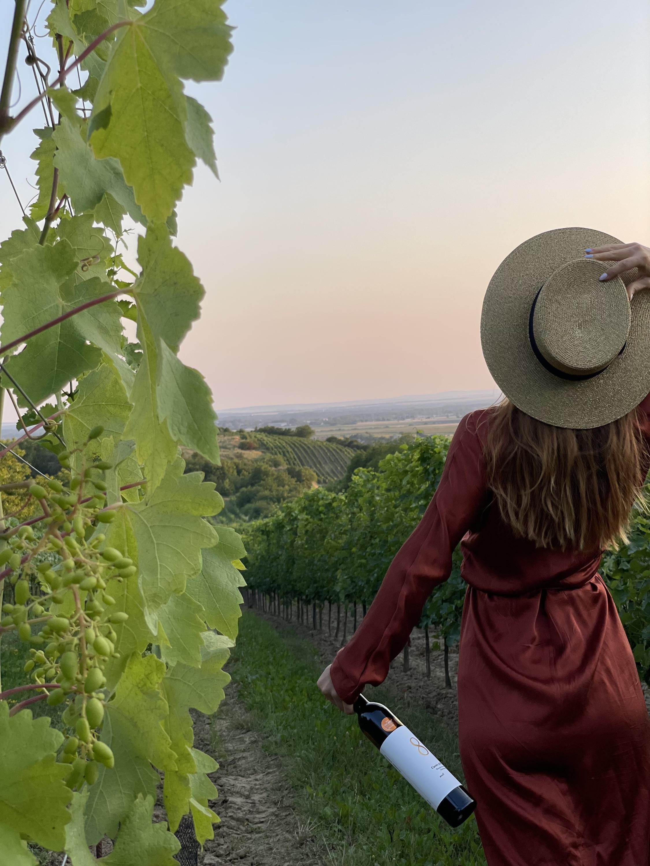 Vinařství Zbyněk Osička foto 1