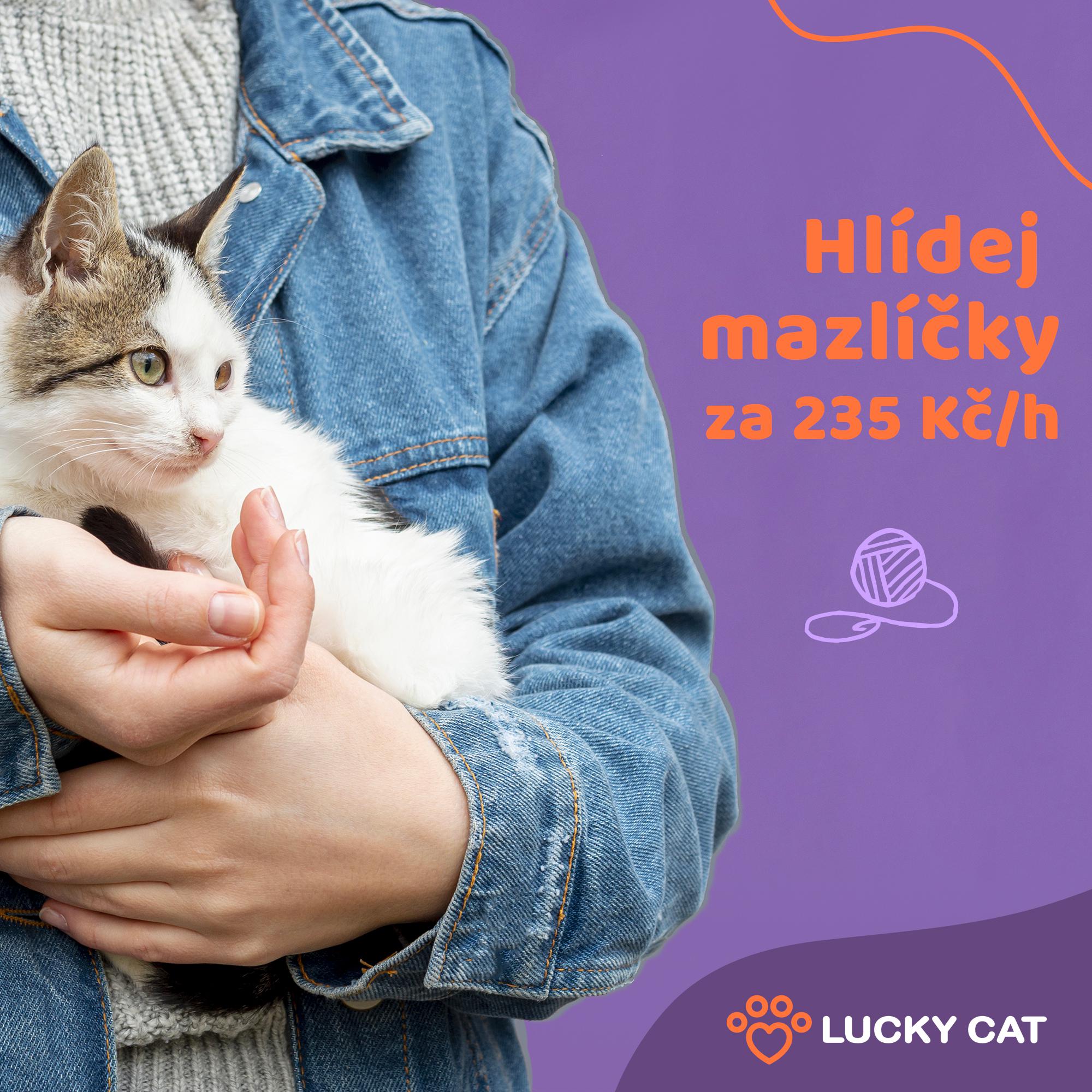 Lucky Cat foto 3