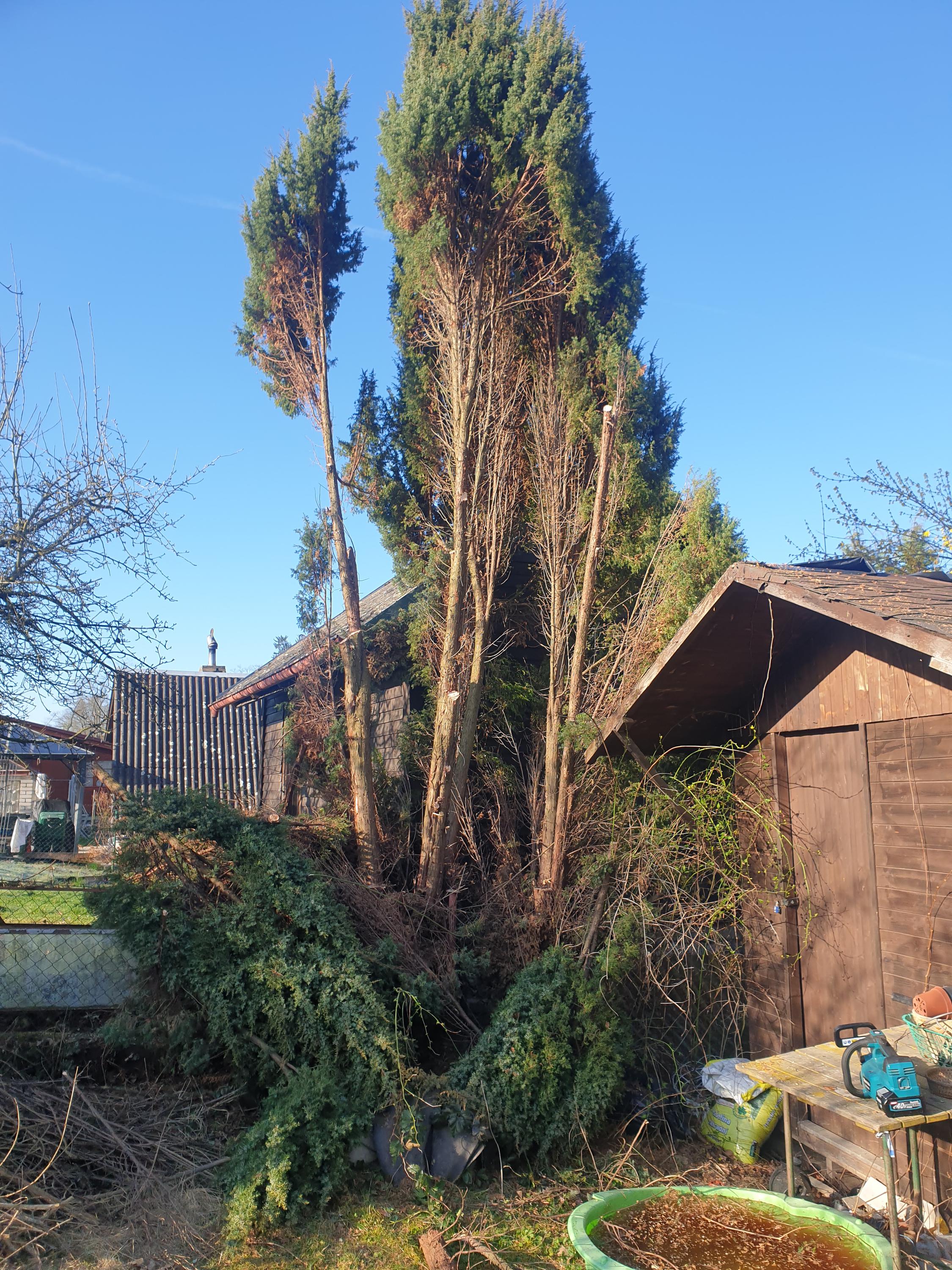 Hodinový manžel a elektrikář - Lukáš Hašek foto 5