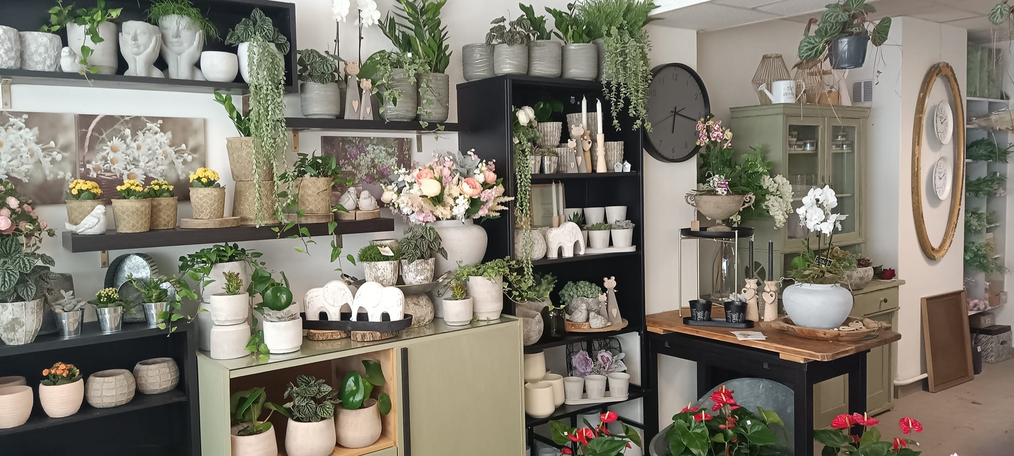 Květinová dílna Kristýna foto 2