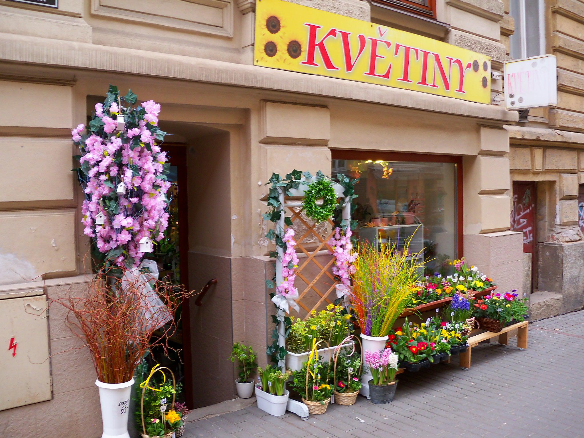 Květiny Antonínská foto 2