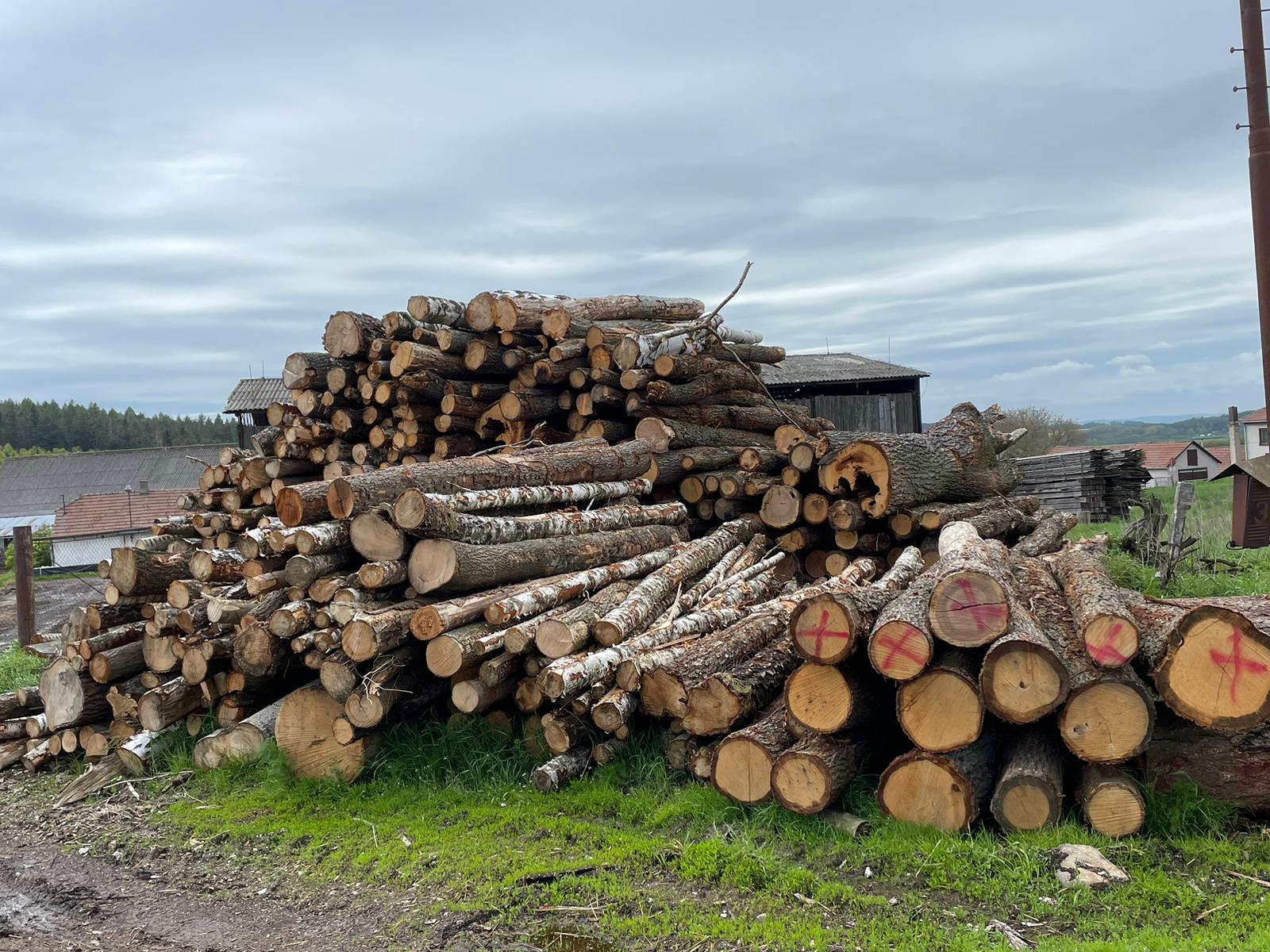 Prodej palivového dříví Karel Starý foto 4