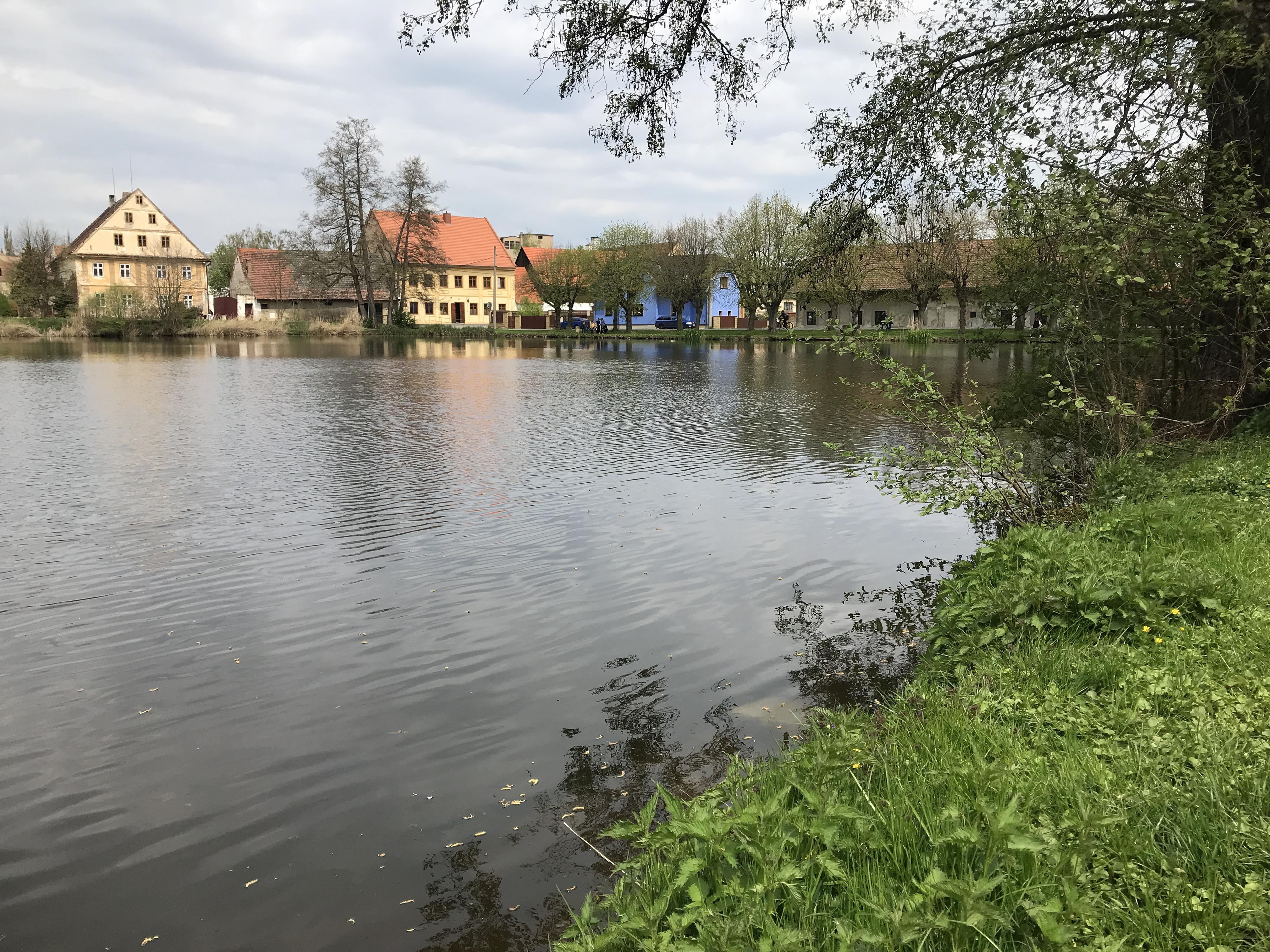 Penzion U Rybníka foto 6