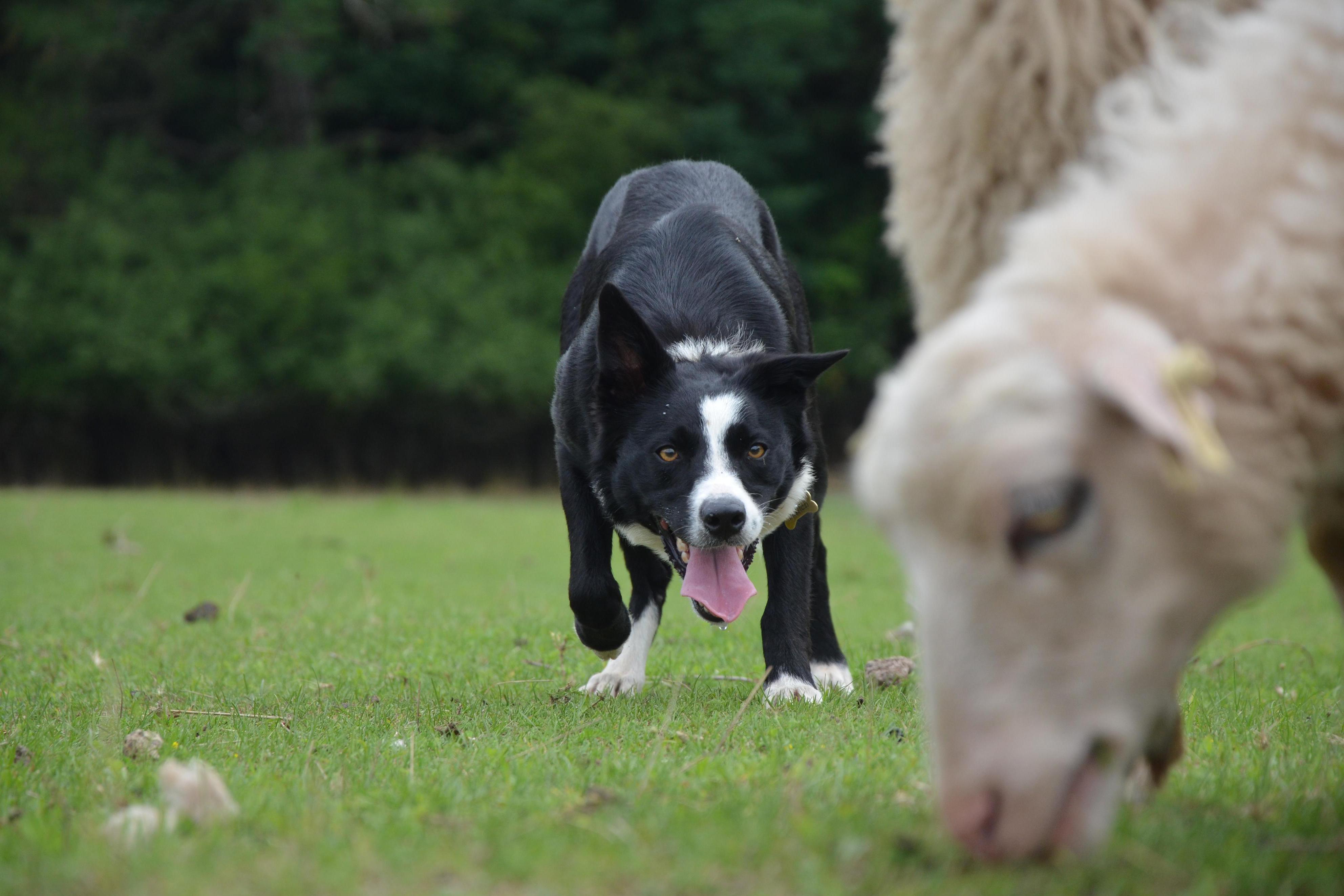 Mgr. Nicoletta Rauerová
