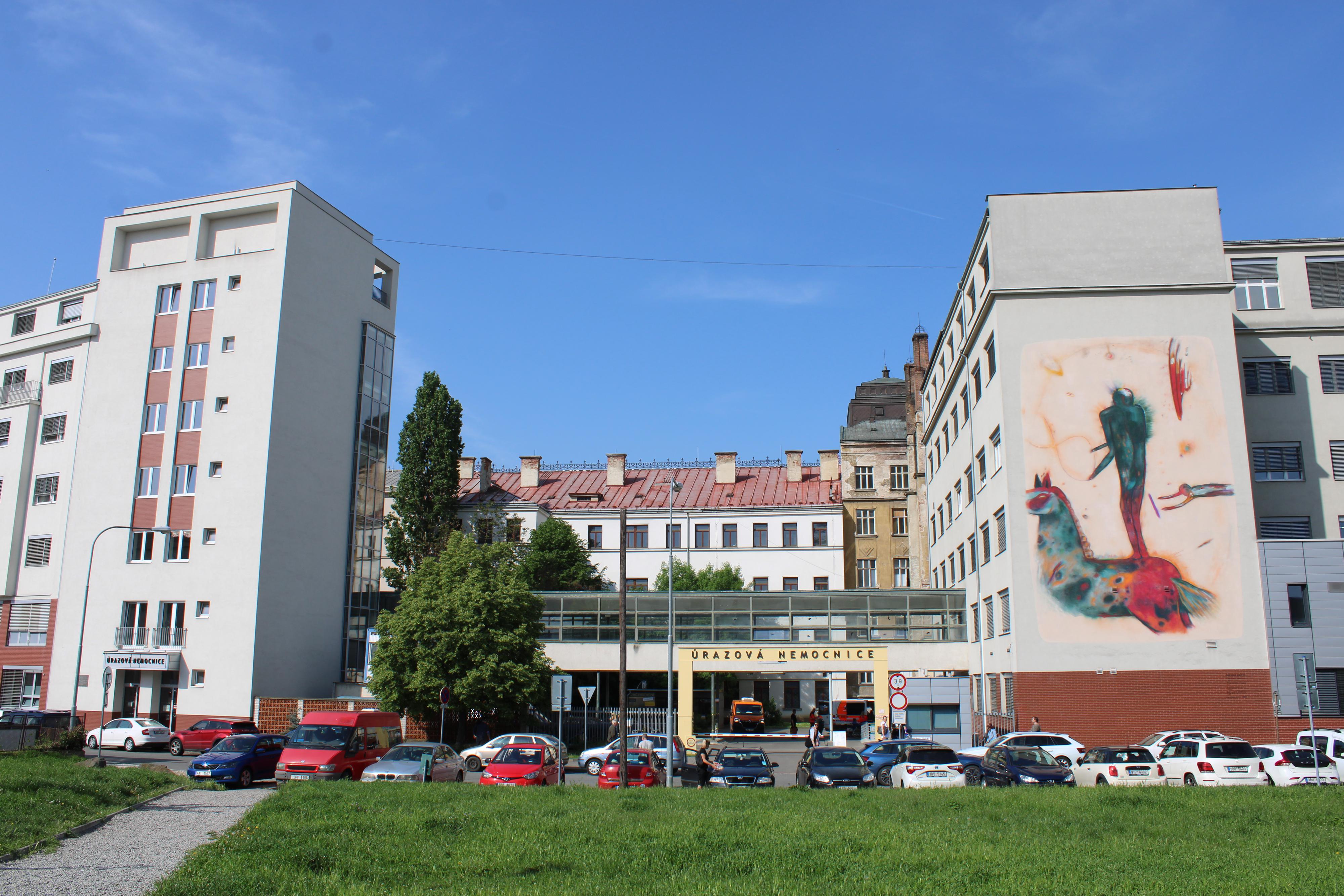 Úrazová nemocnice v Brně foto 5