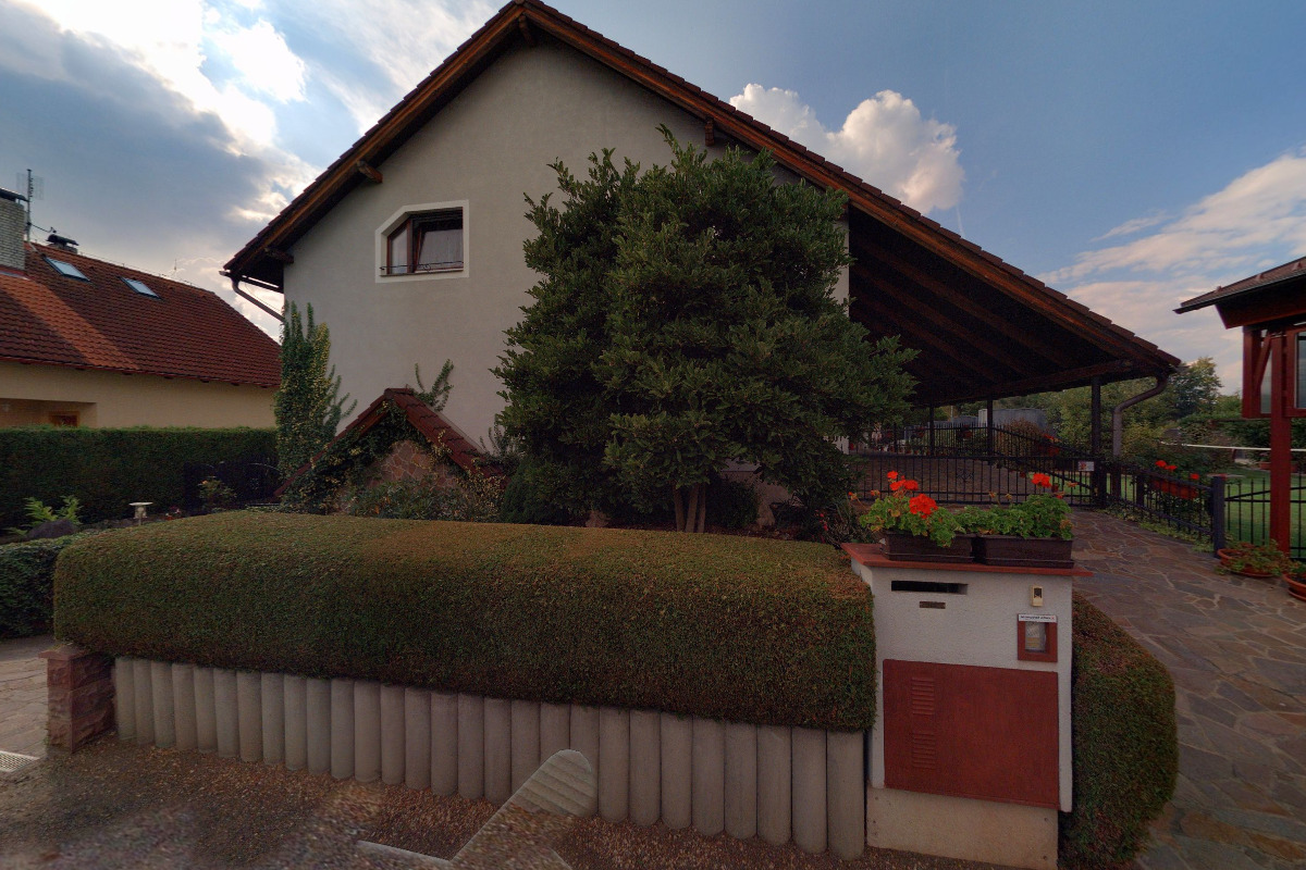 Hlidaní psů - Michaela Kutišová foto 2