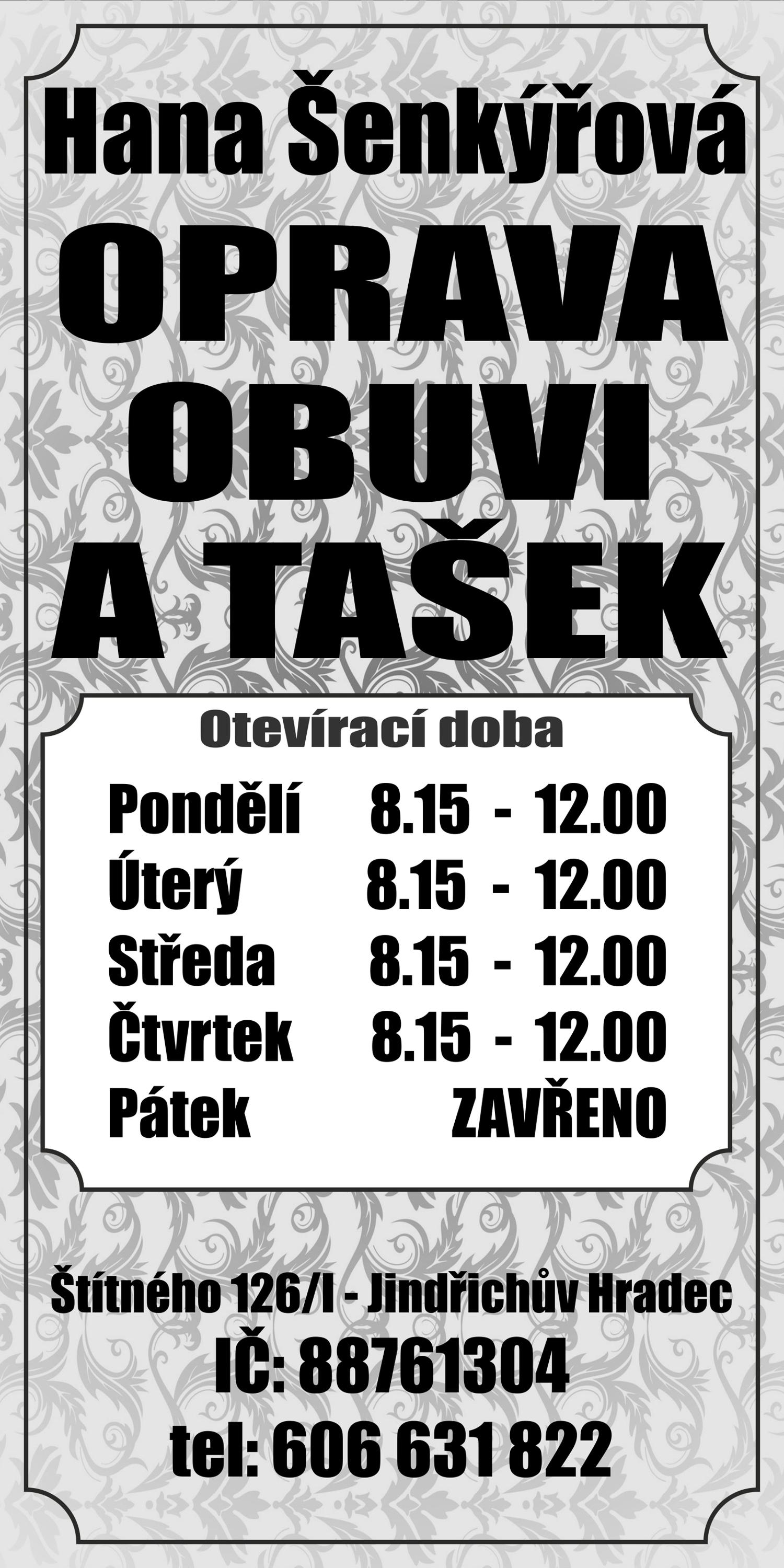 Hana Šenkýřová foto 2