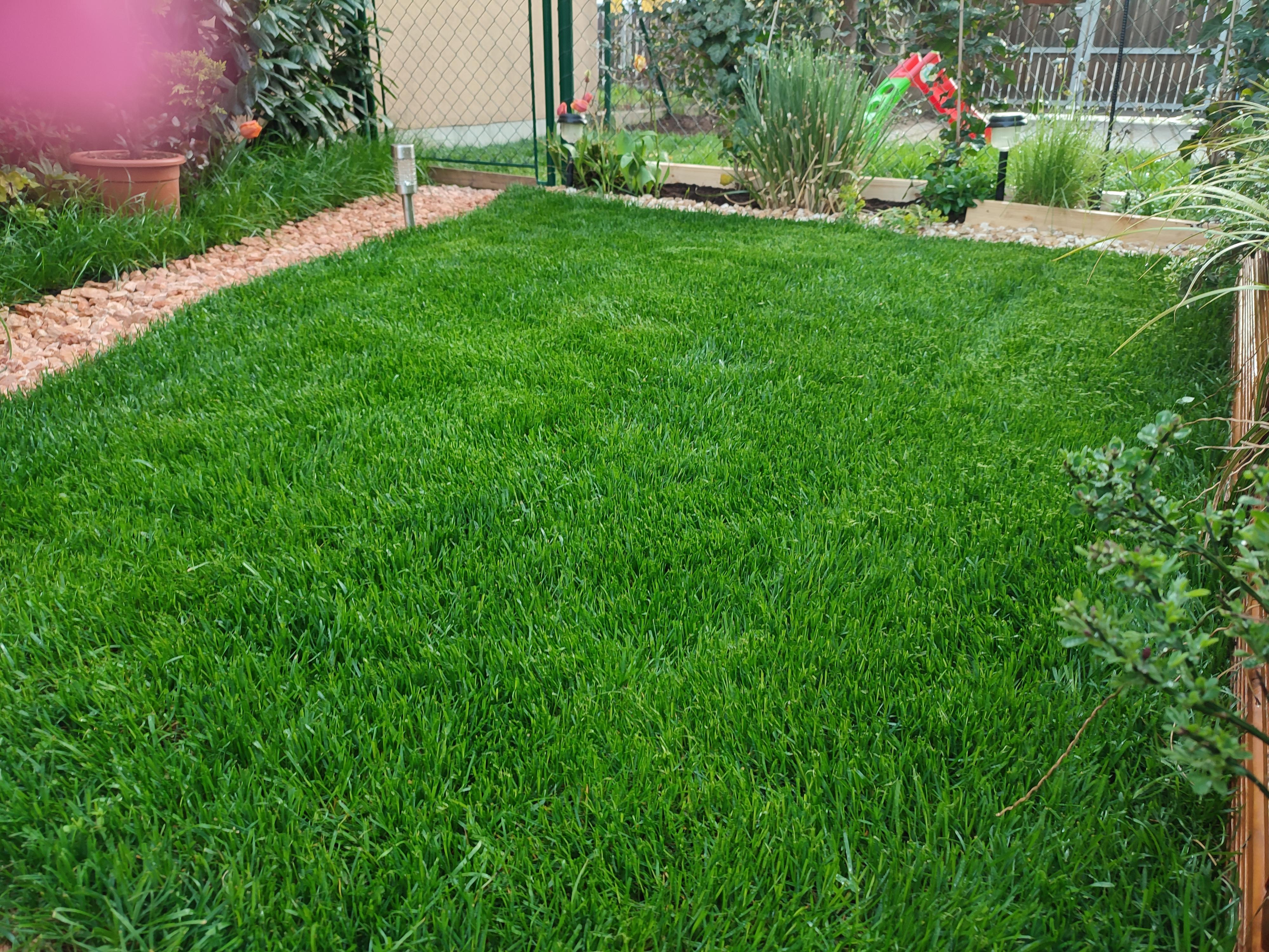 Ing. Jiří Vrbas - KVĚT trávníková školka foto 6