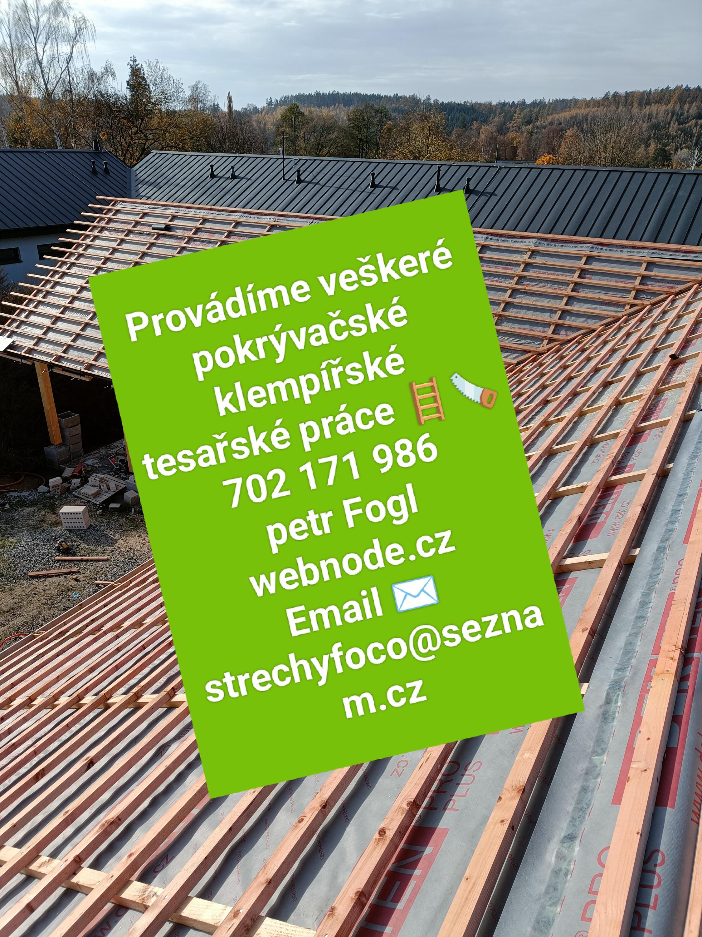 Petr Fogl Střechy foto 2