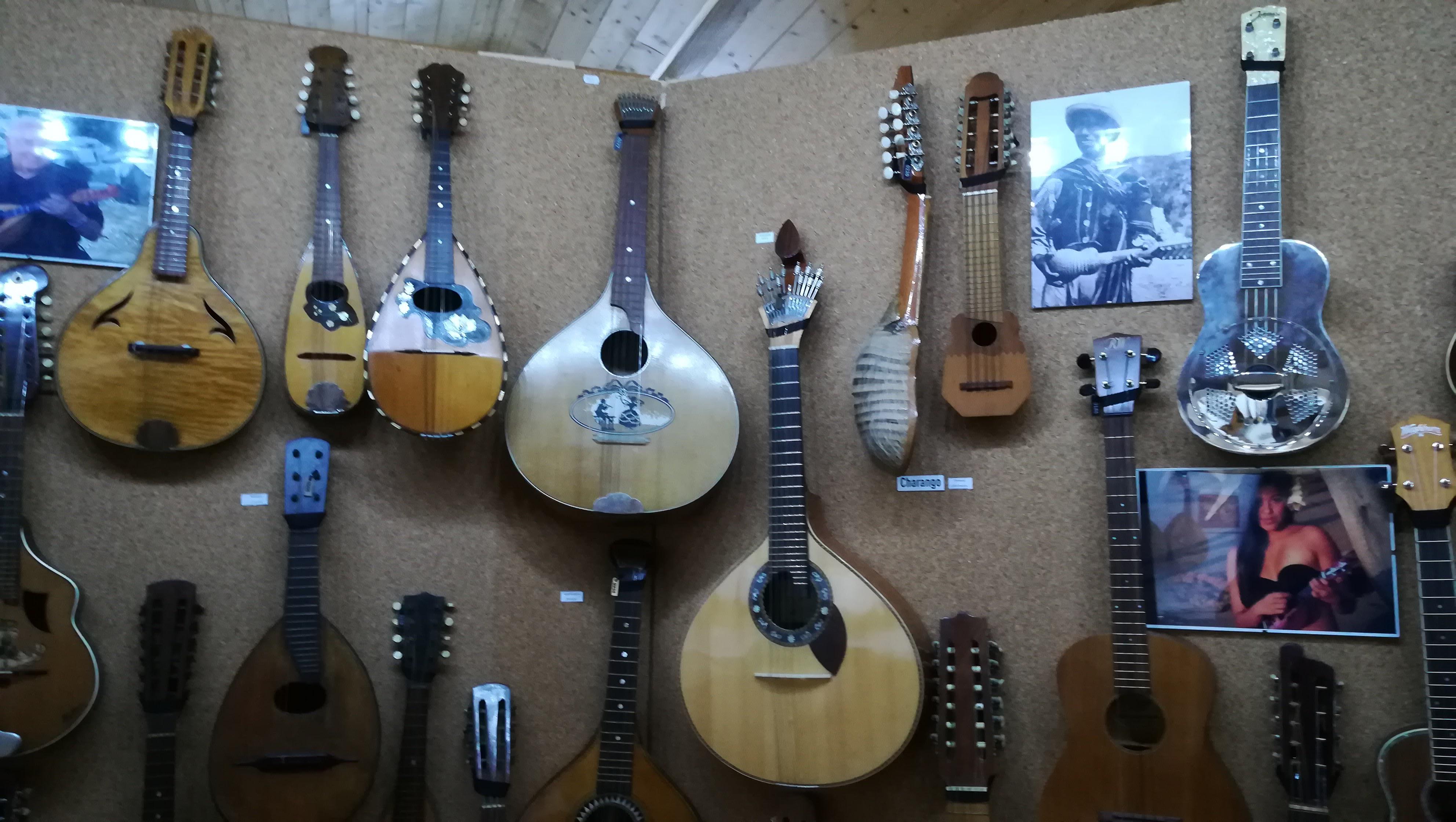 Expozice hudebních nástrojů foto 5