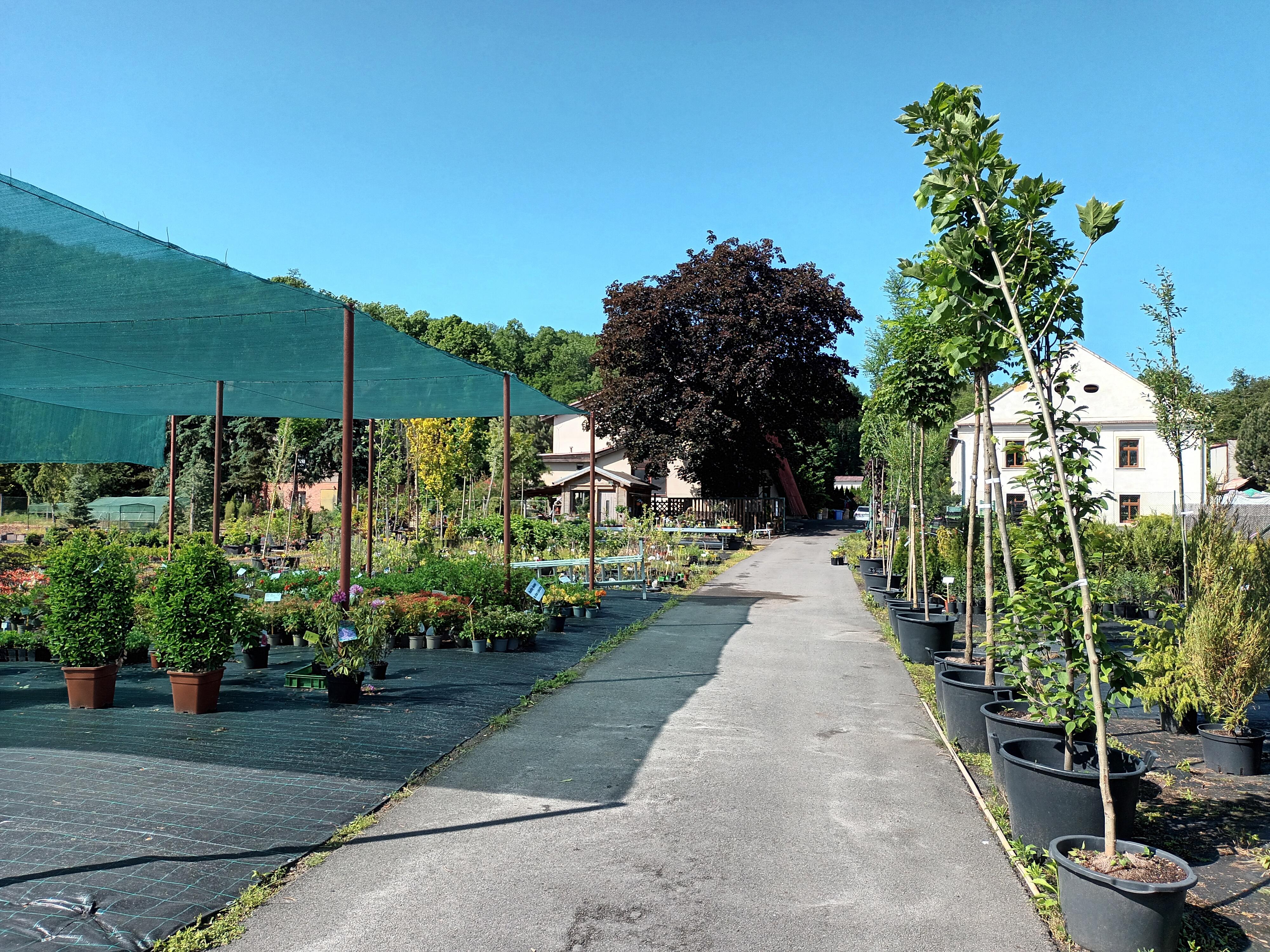 Jägerhaus foto 3