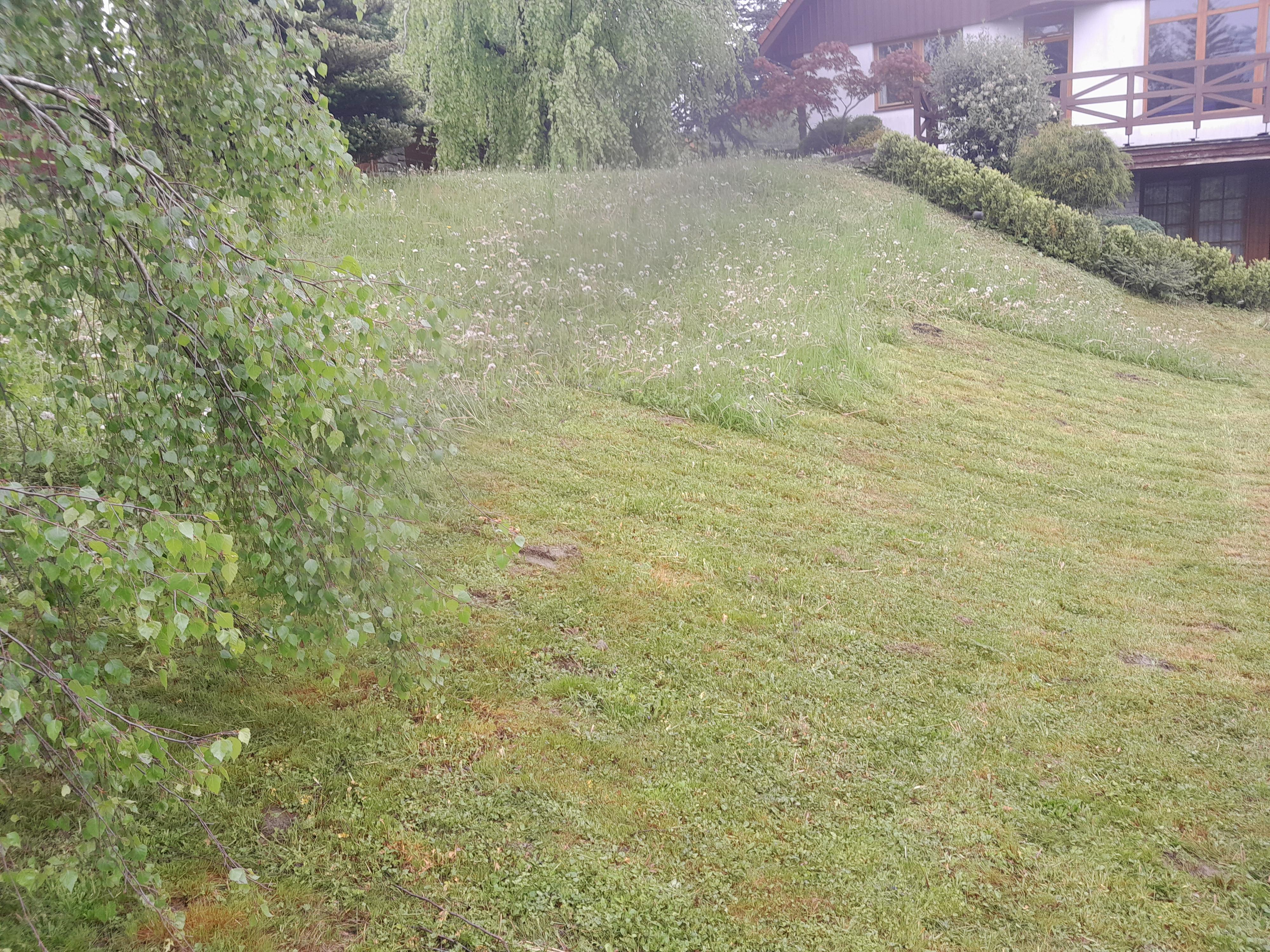 Kosení zahrad - Petr Kovář foto 2