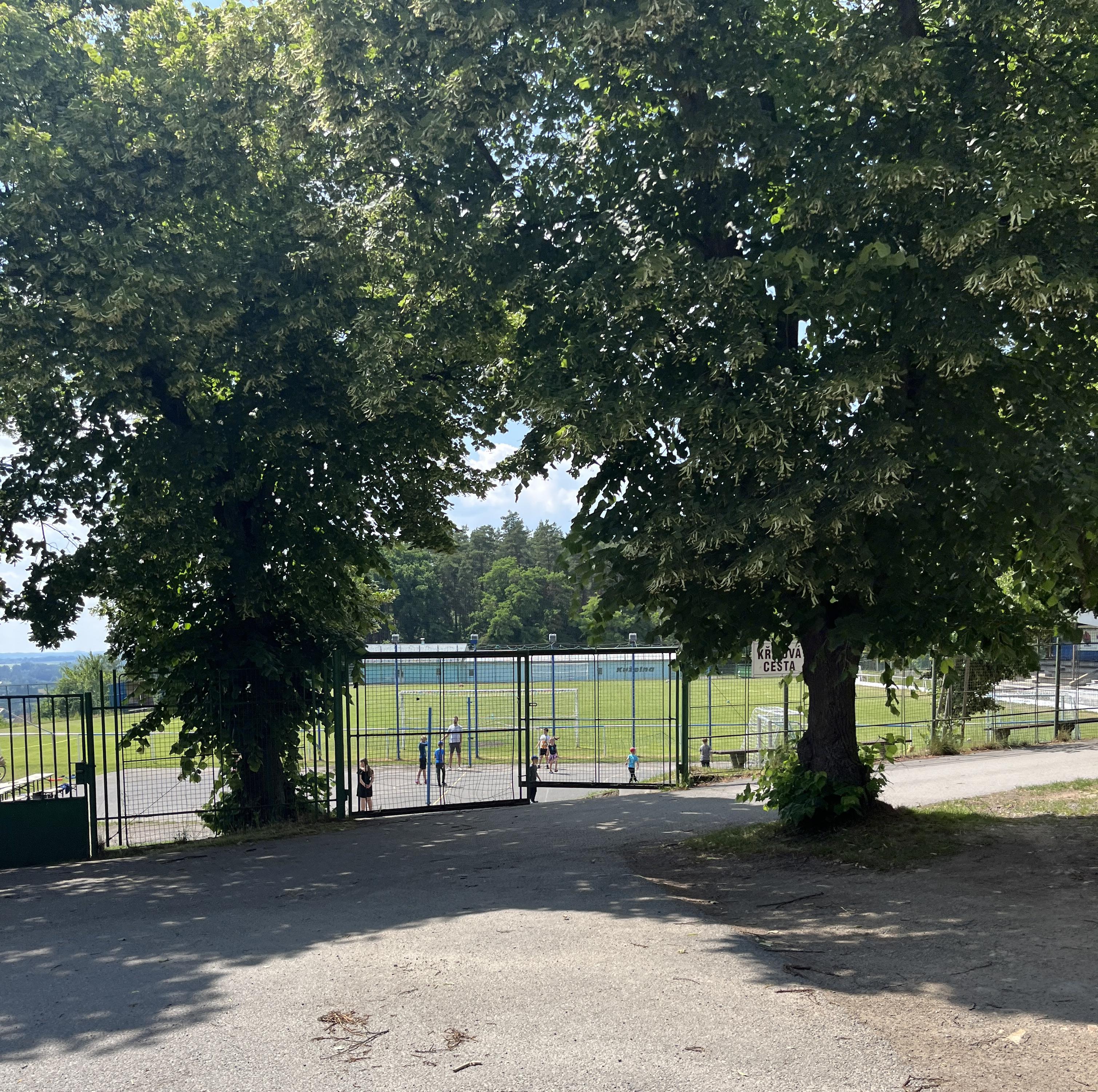 Fotbalové hřiště Lipová foto 4