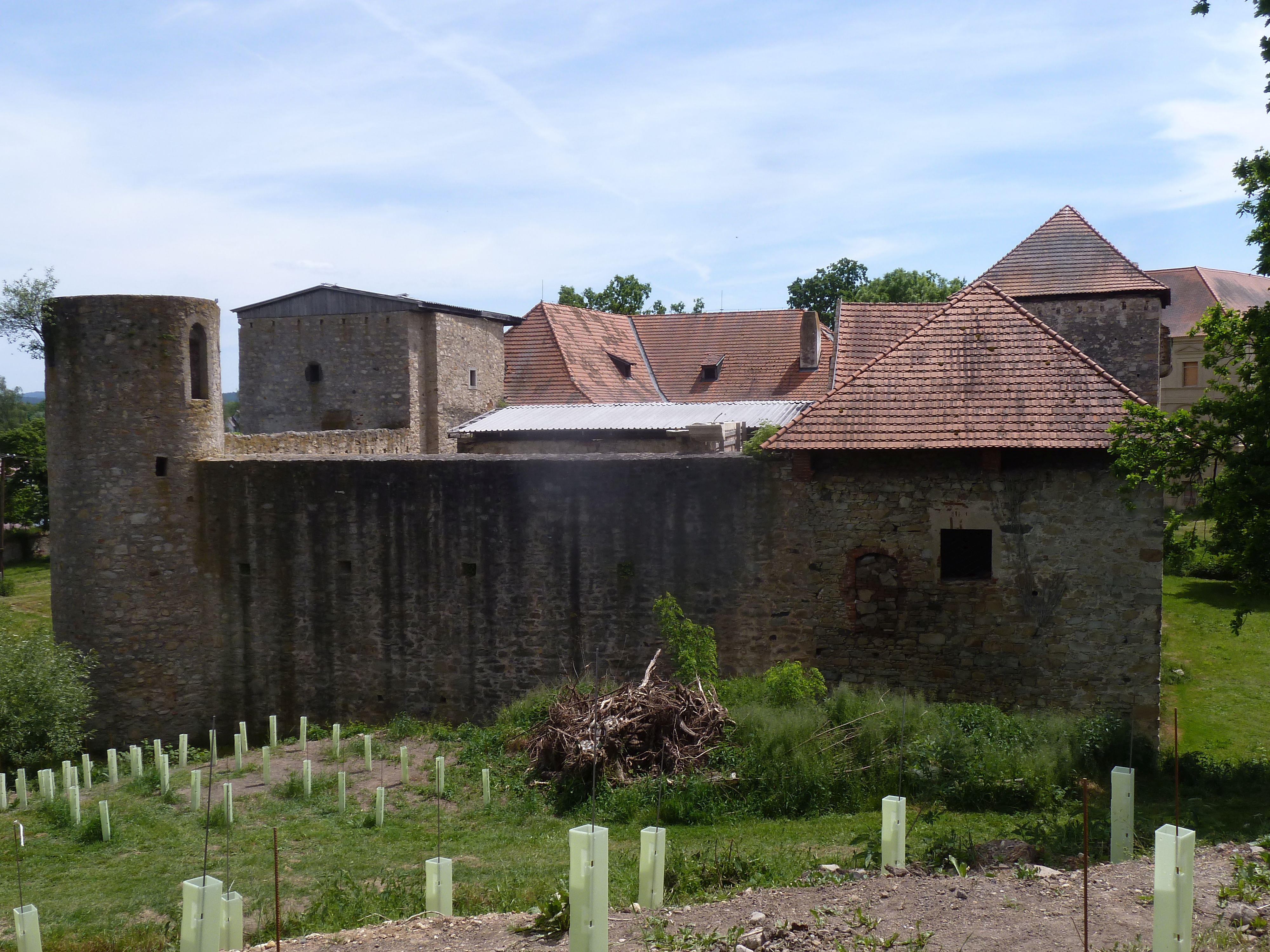 Vinice u náhonu foto 5