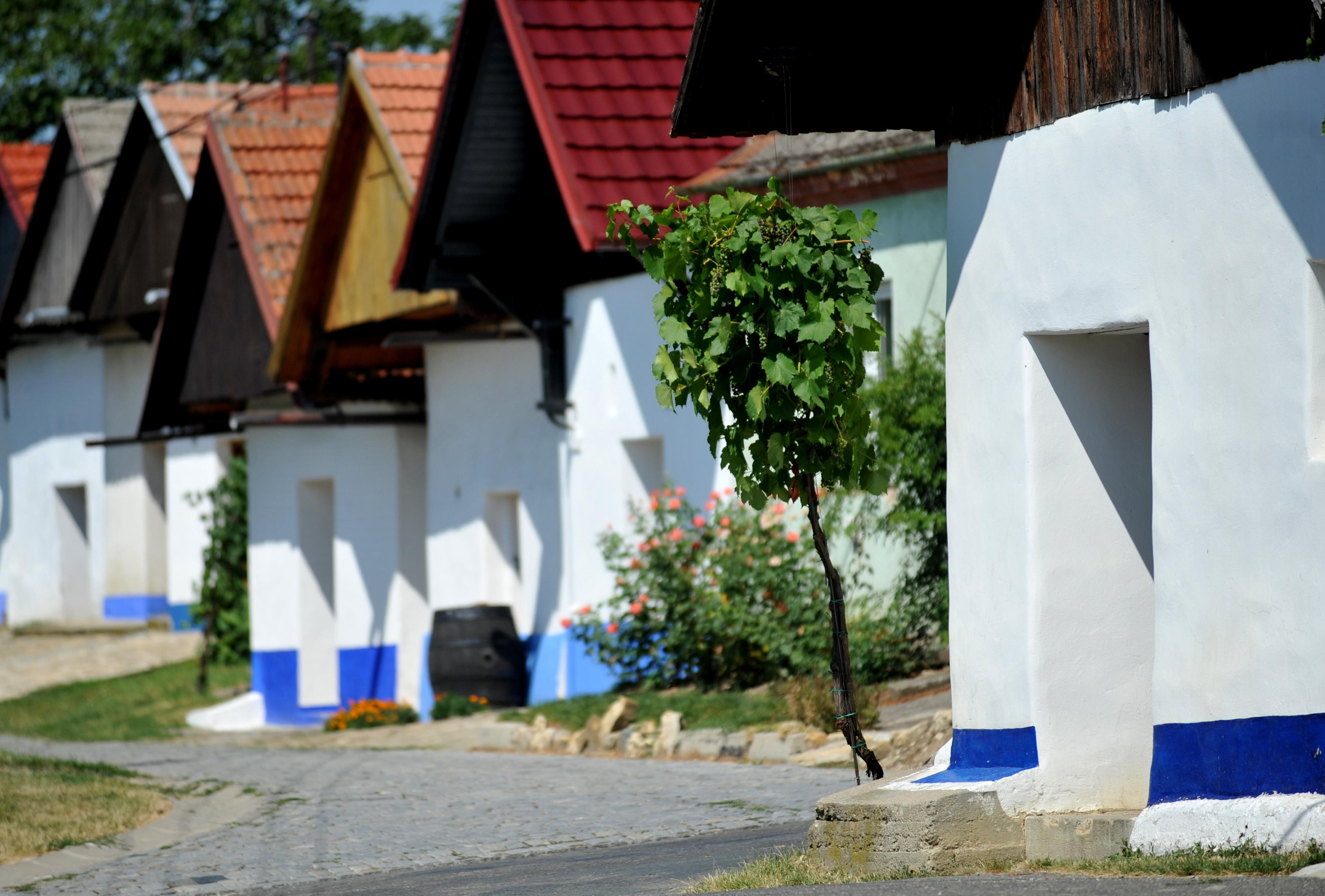 Cech blatnických vinařů foto 3