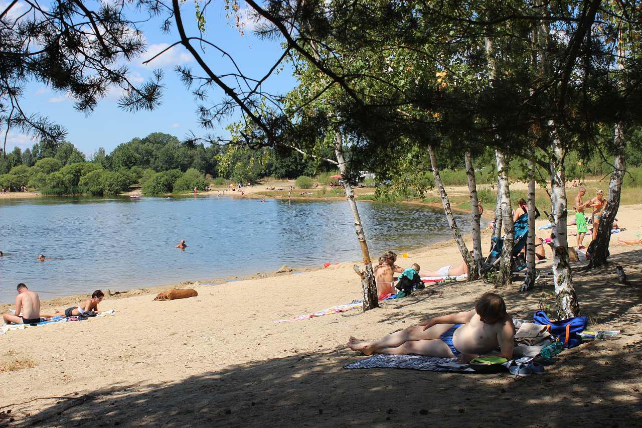 Apartmány k pronájmu - Obchodní Plus s.r.o. foto 6