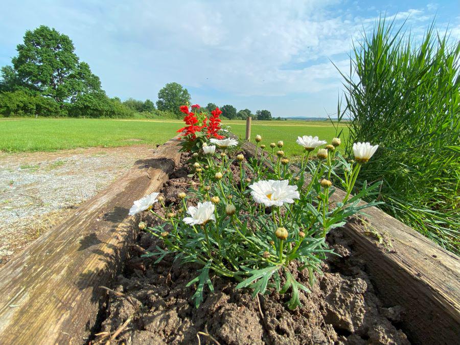Kemp Kněžínek foto 5