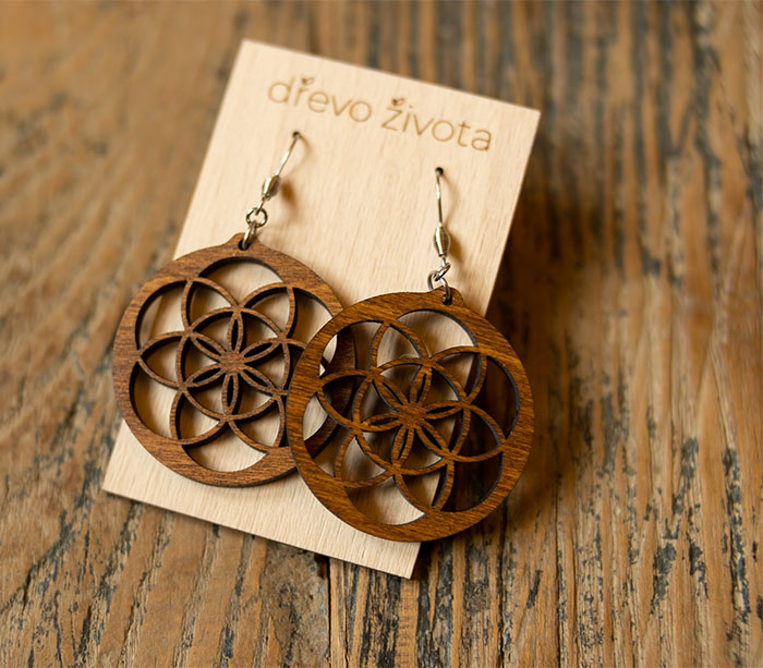 dřevo života foto 3