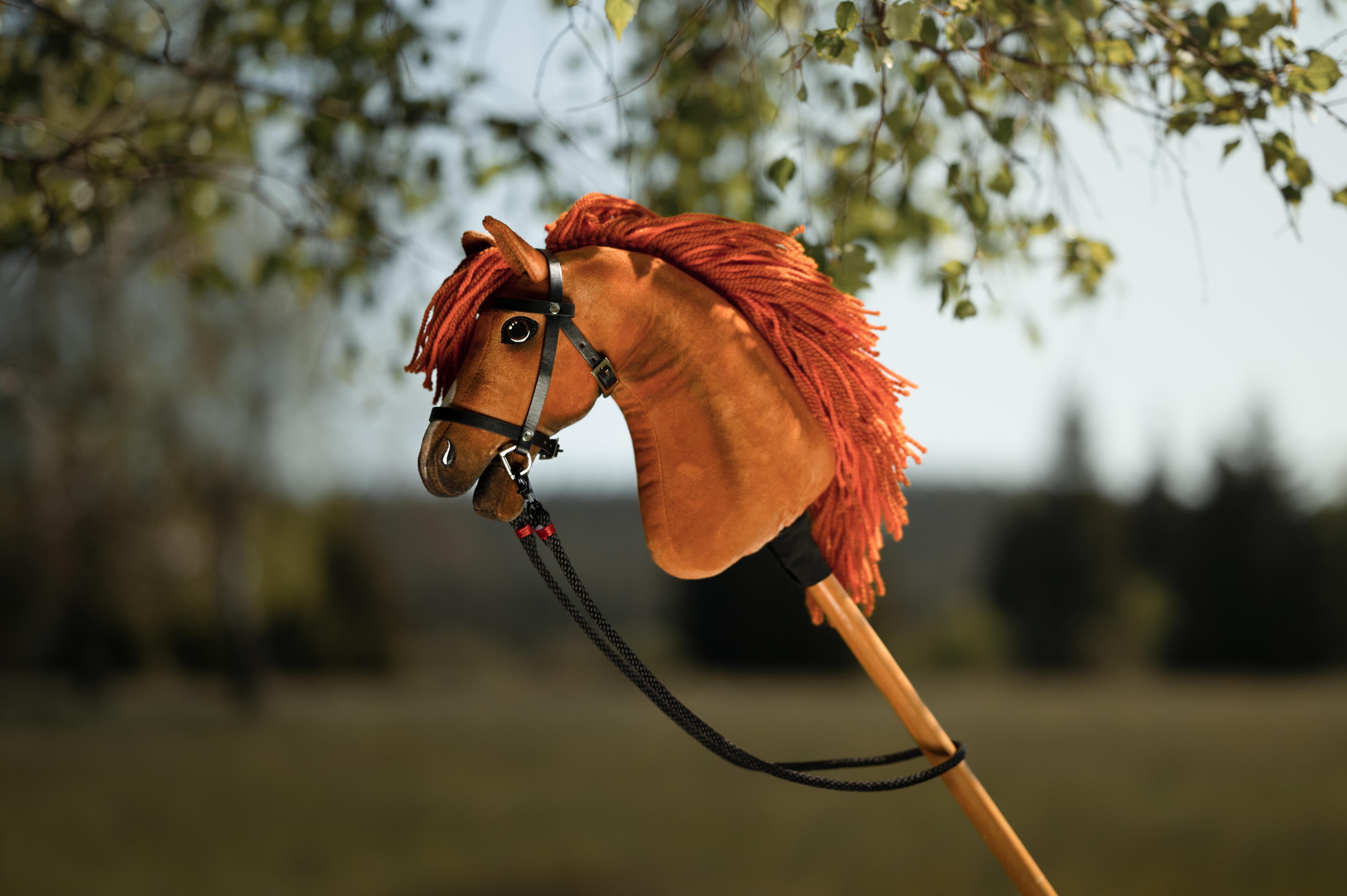 Hobby Horse LarDen foto 4