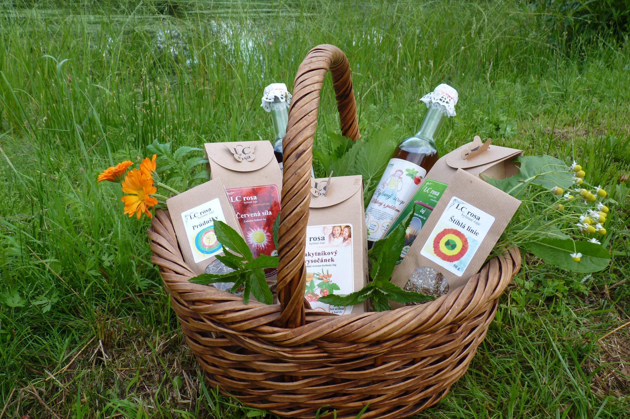 Valerie Pelikánová - LC Rosa