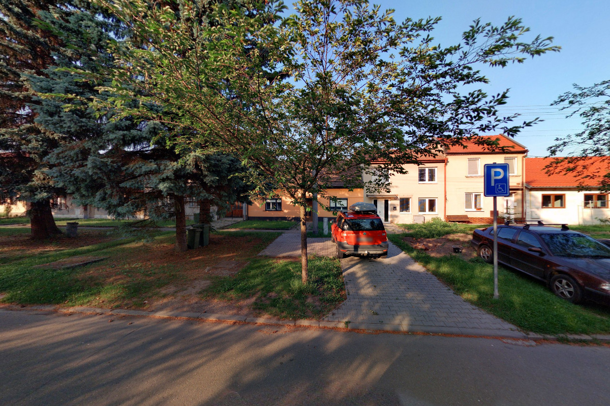 Korálkyniky foto 2