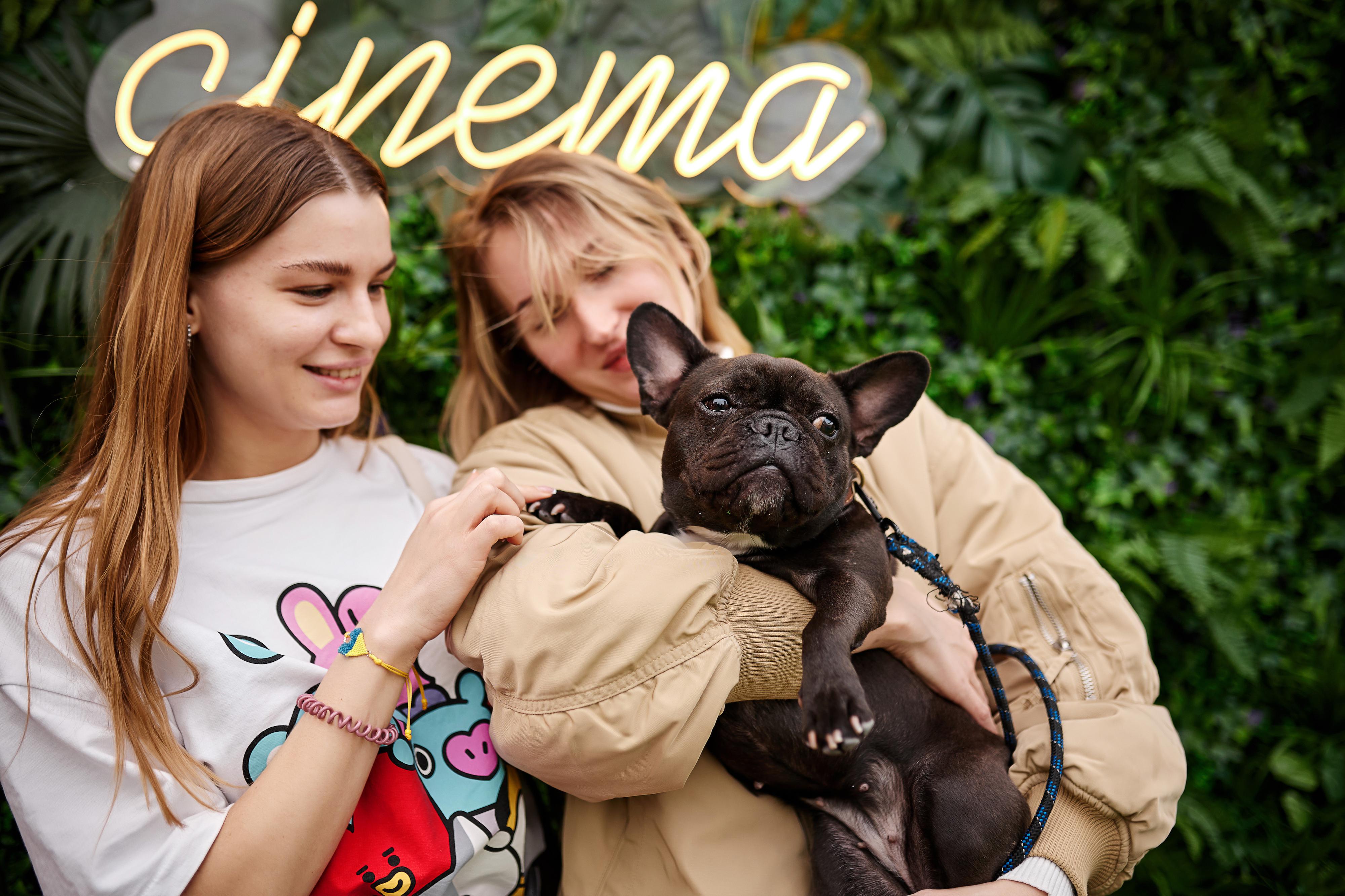 Sunset Cinema foto 4