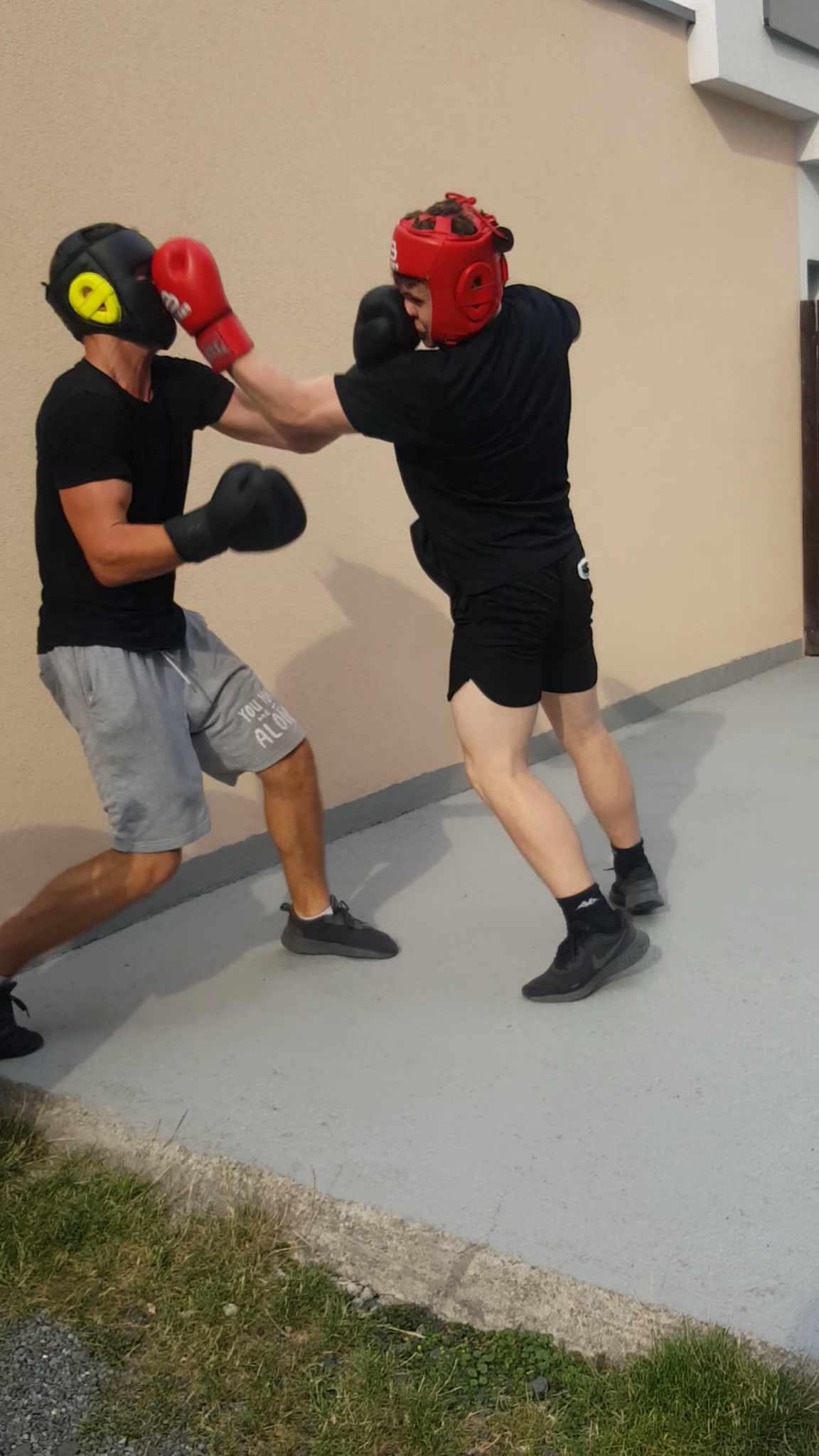 Boxing Čimice foto 3