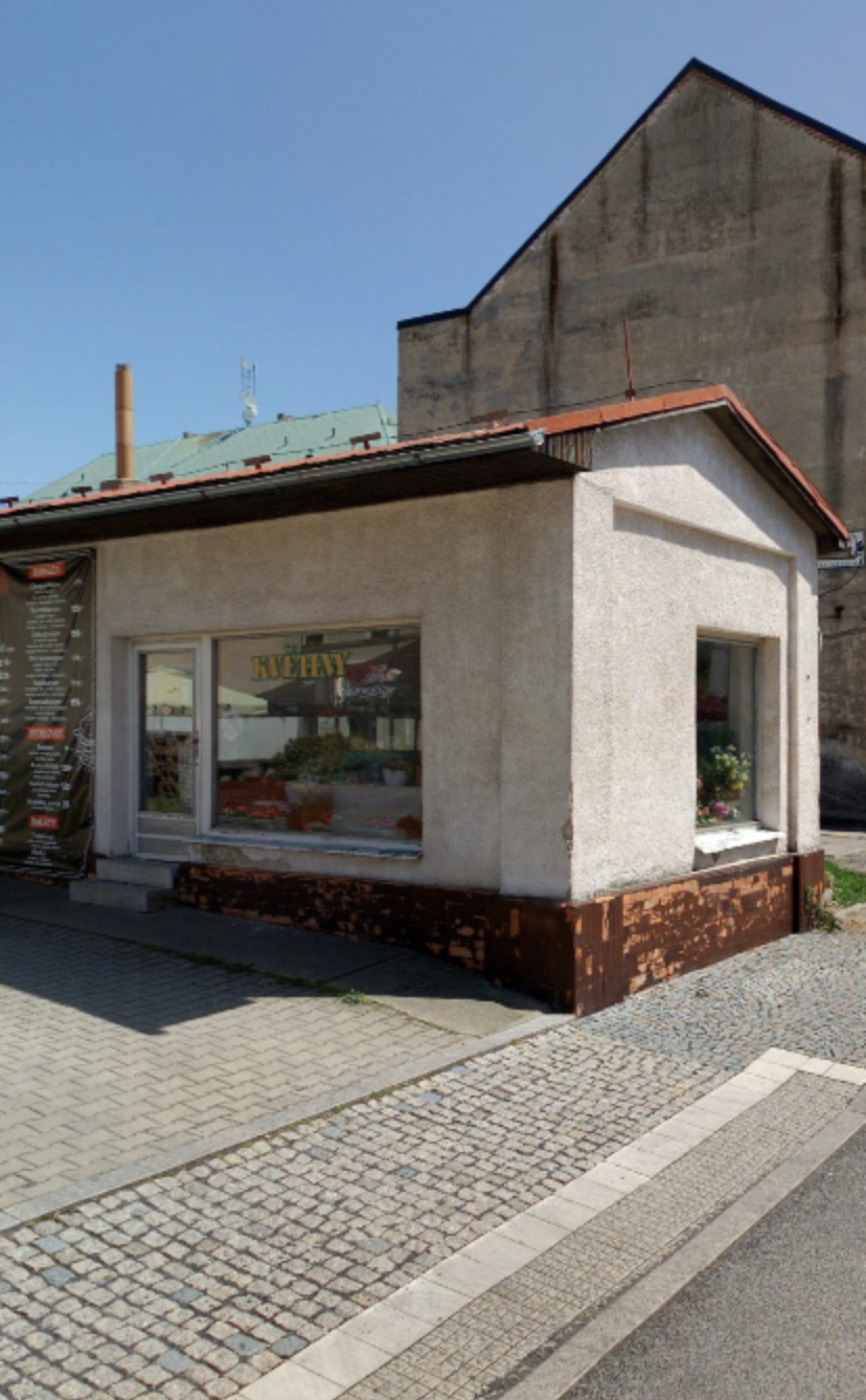 Květiny Zelená foto 1