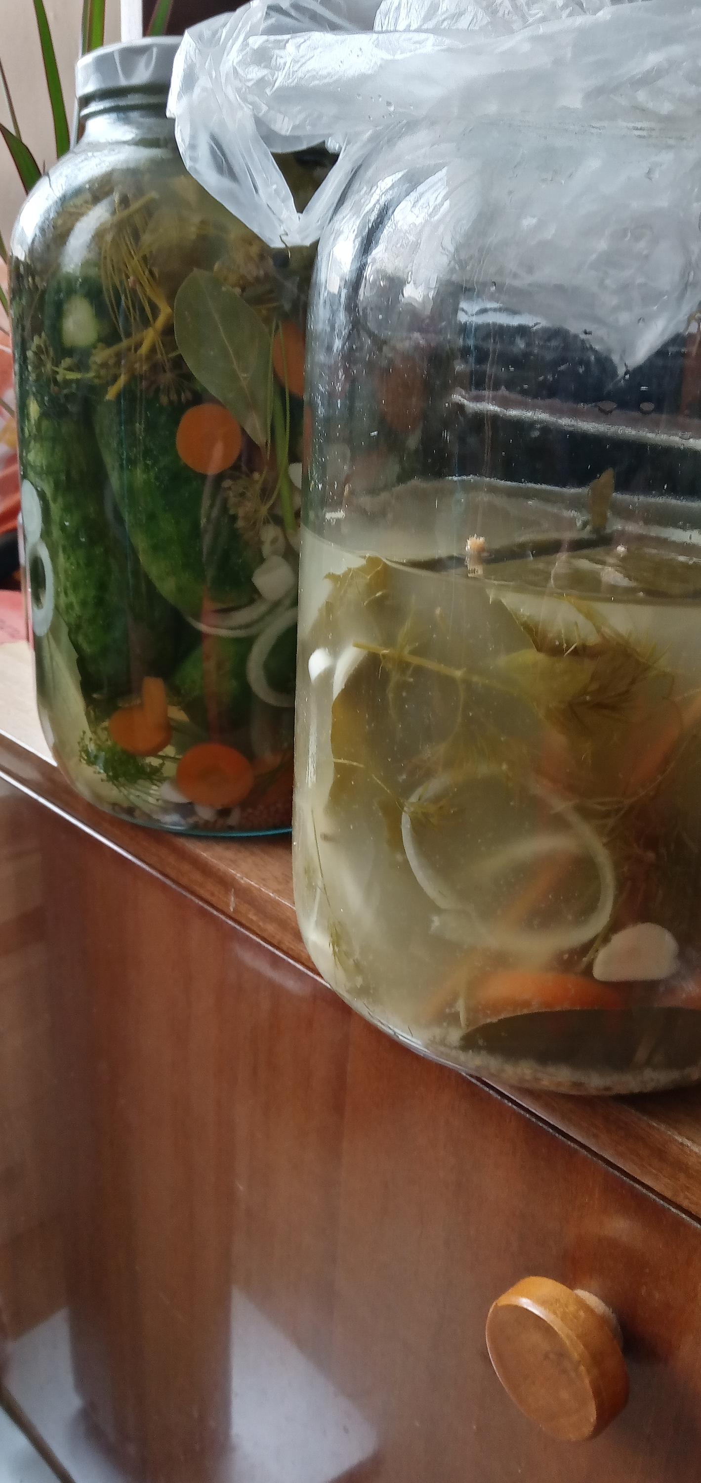 autodilylitvinov.cz foto 6