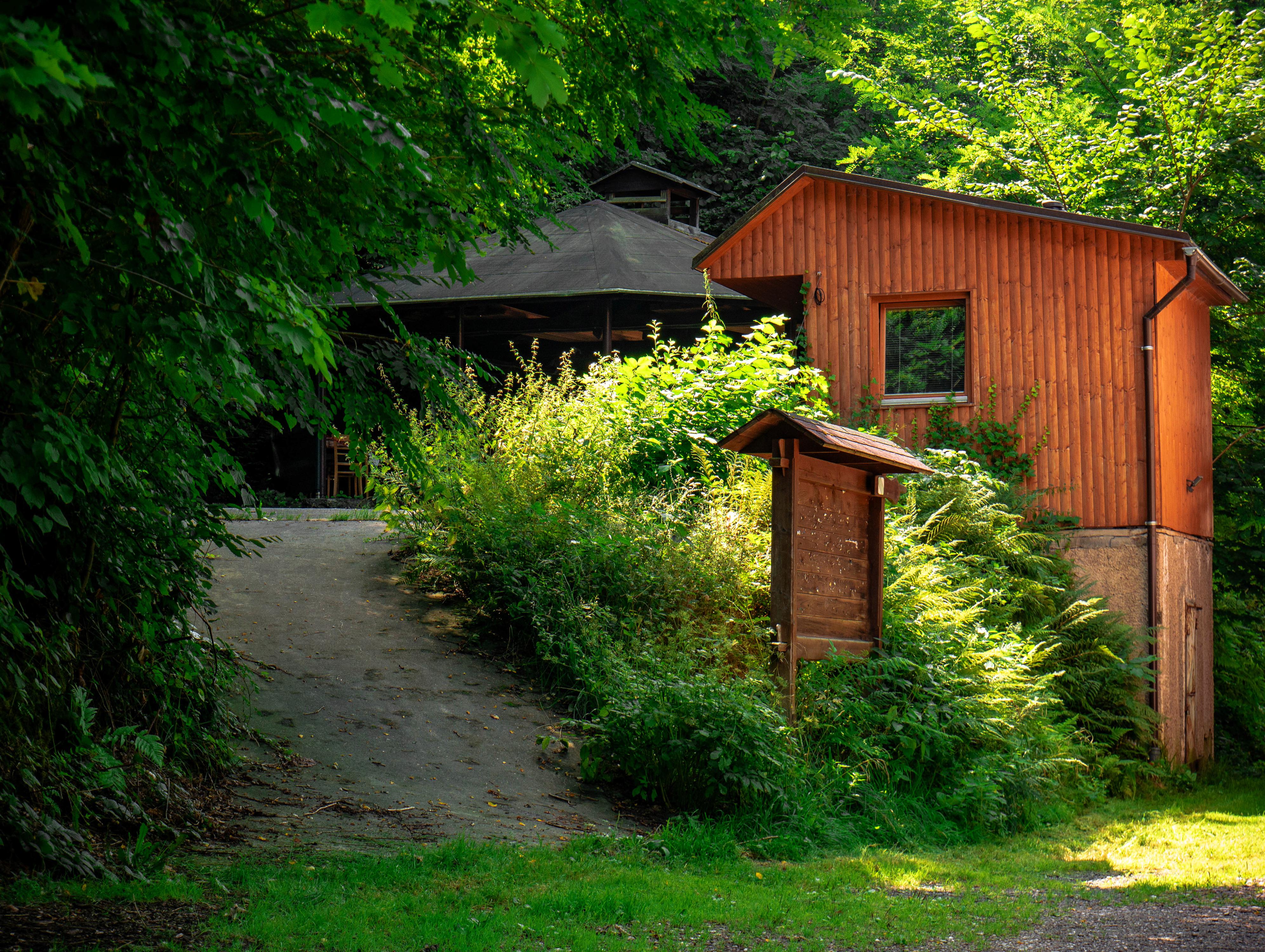 Ubytování Klopoty foto 4