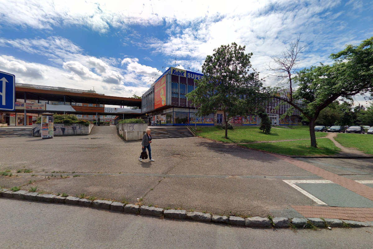 Microgreens Česká louka foto 2