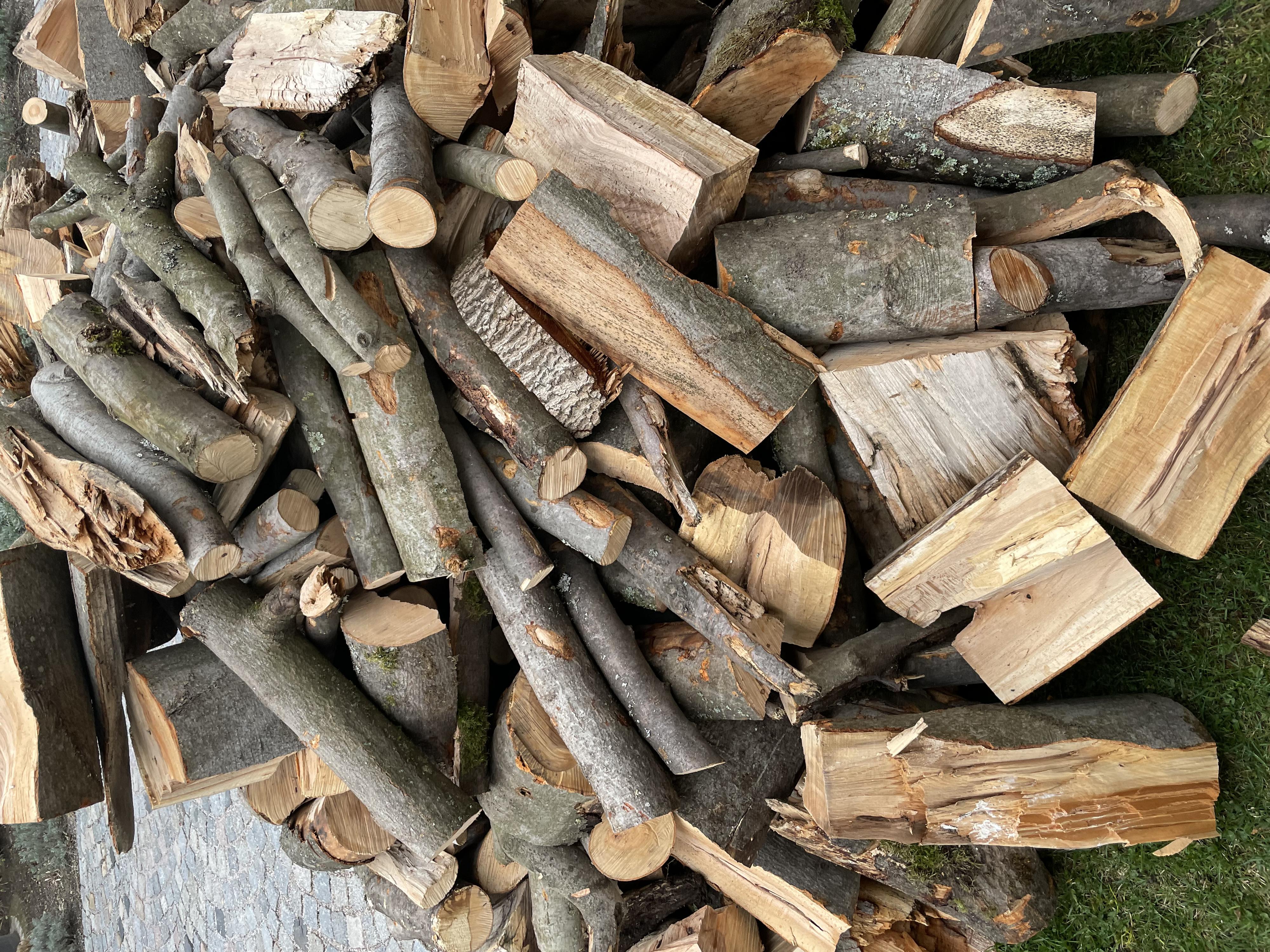 Palivové dříví Petr Skoumal foto 3