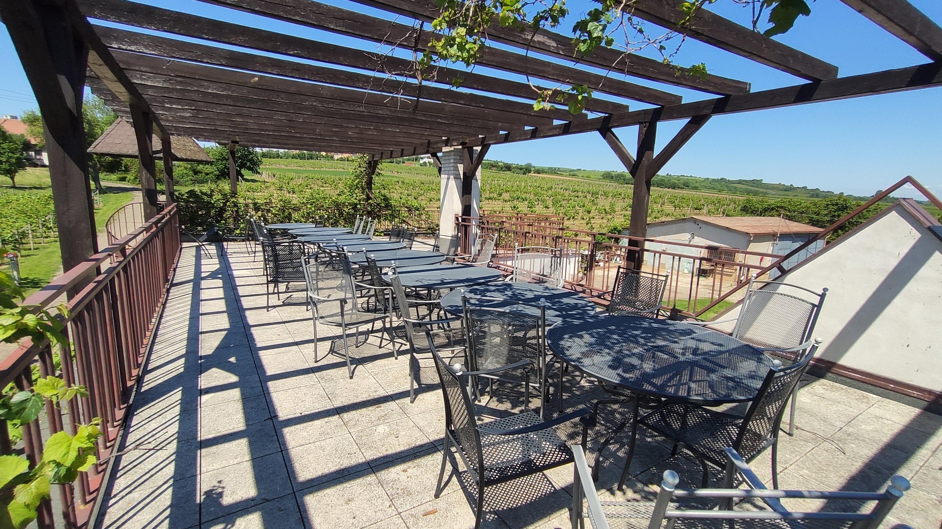 Šlechtitelská stanice vinařská, s.r.o. foto 2