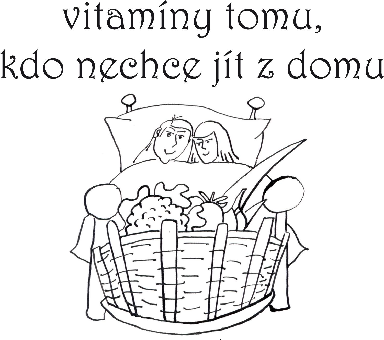 Greengrocery s.r.o. Velkoobchod ovoce a zelenina foto 5