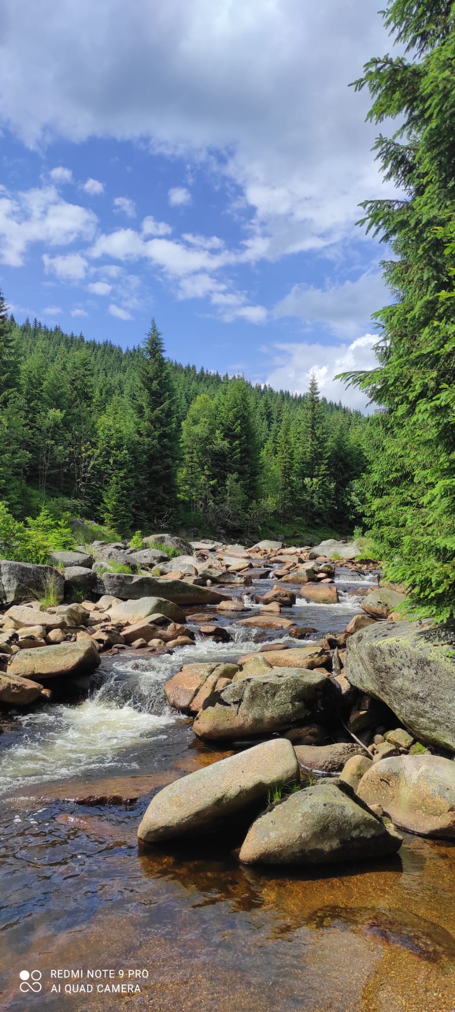 Úpatí Ještědu - apartmány foto 6