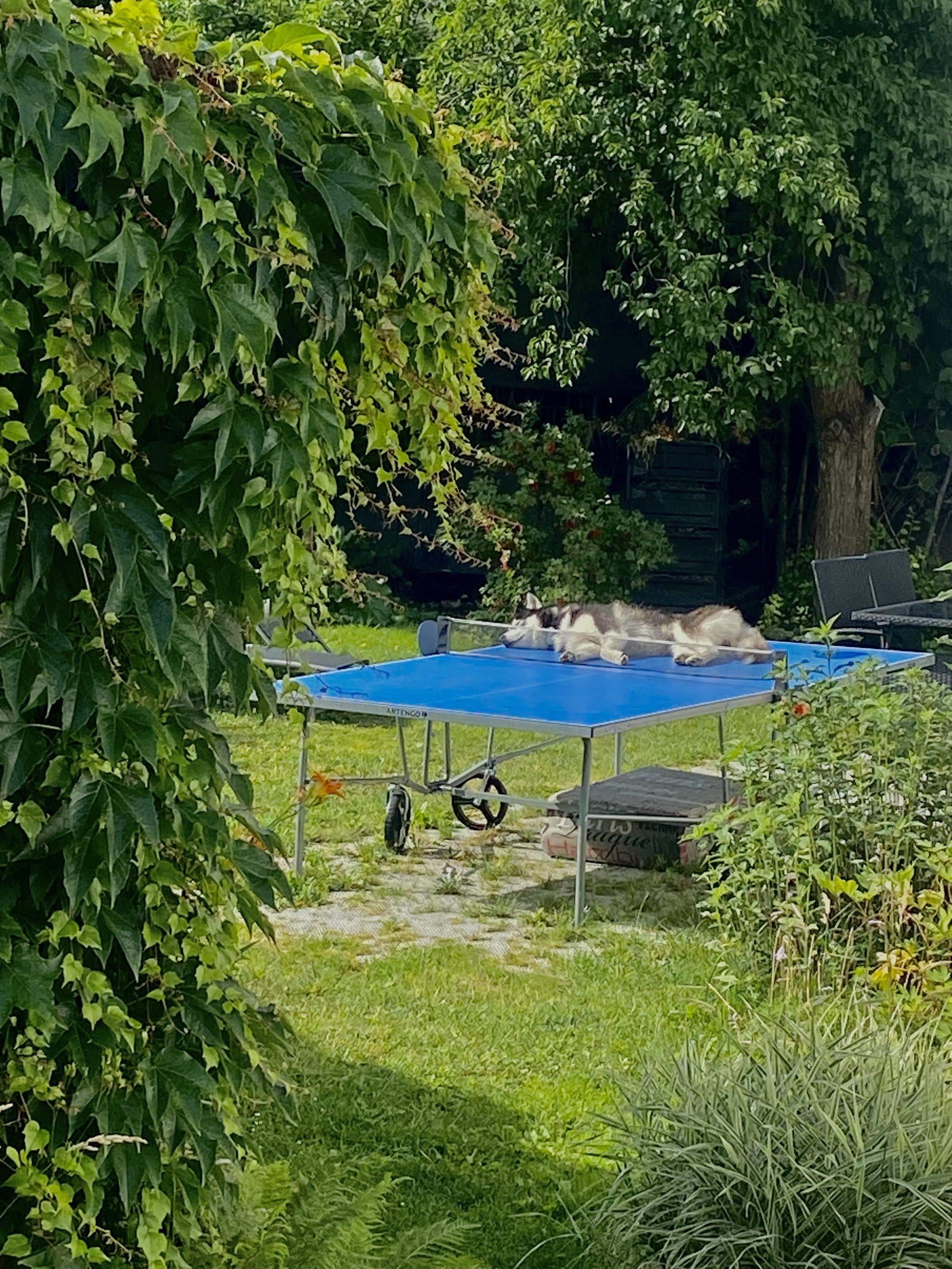 Apartment Krkonošská foto 3