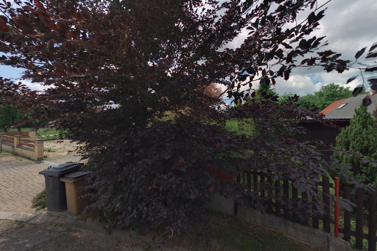 Eva Keslerová foto 2