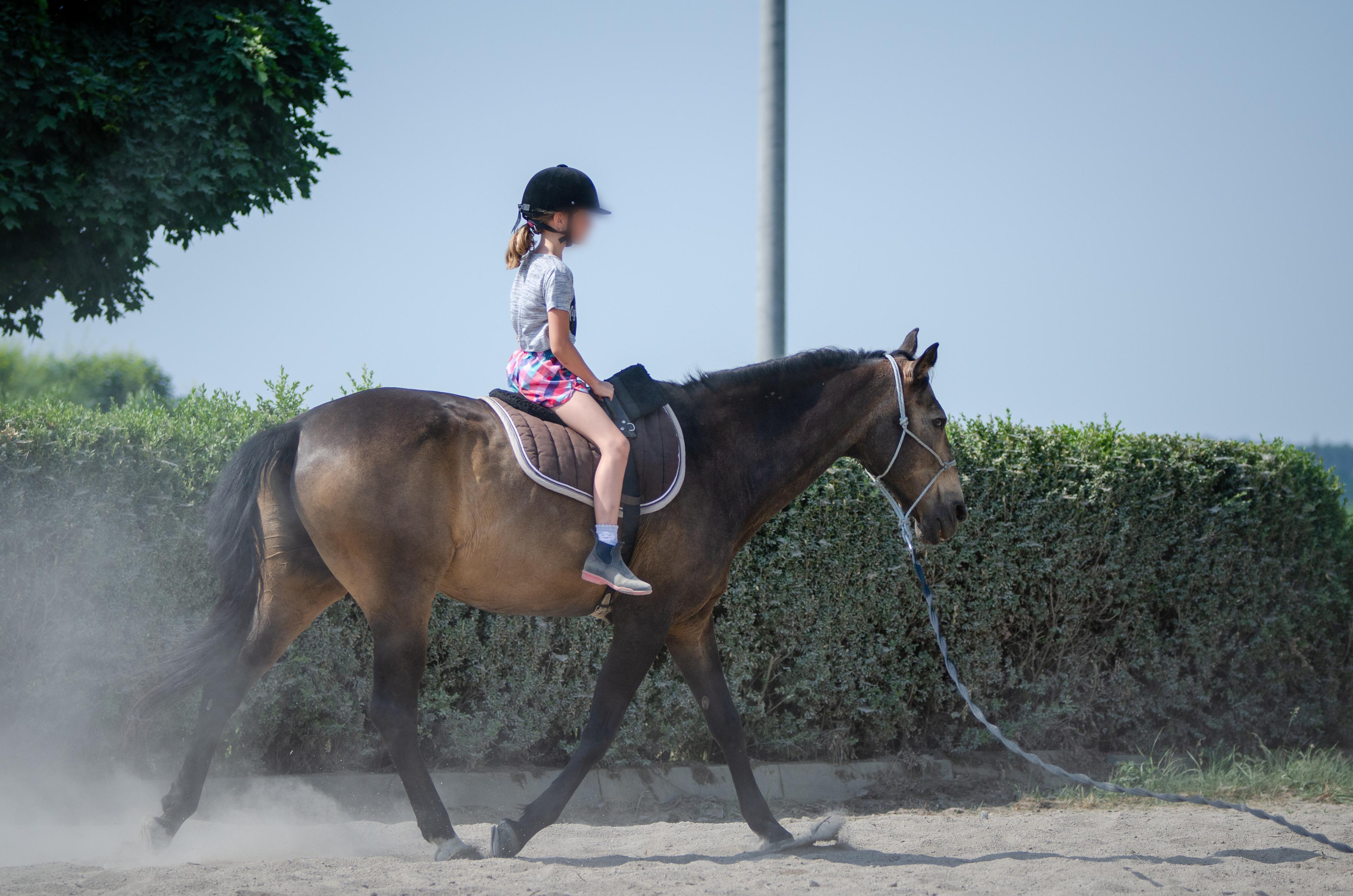Jezdecký oddíl TJ Slavoj Plzeň z. s.