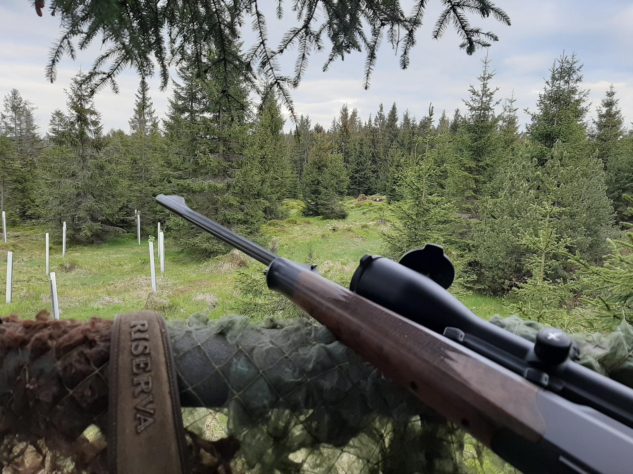 Lov-myslivost.cz foto 5