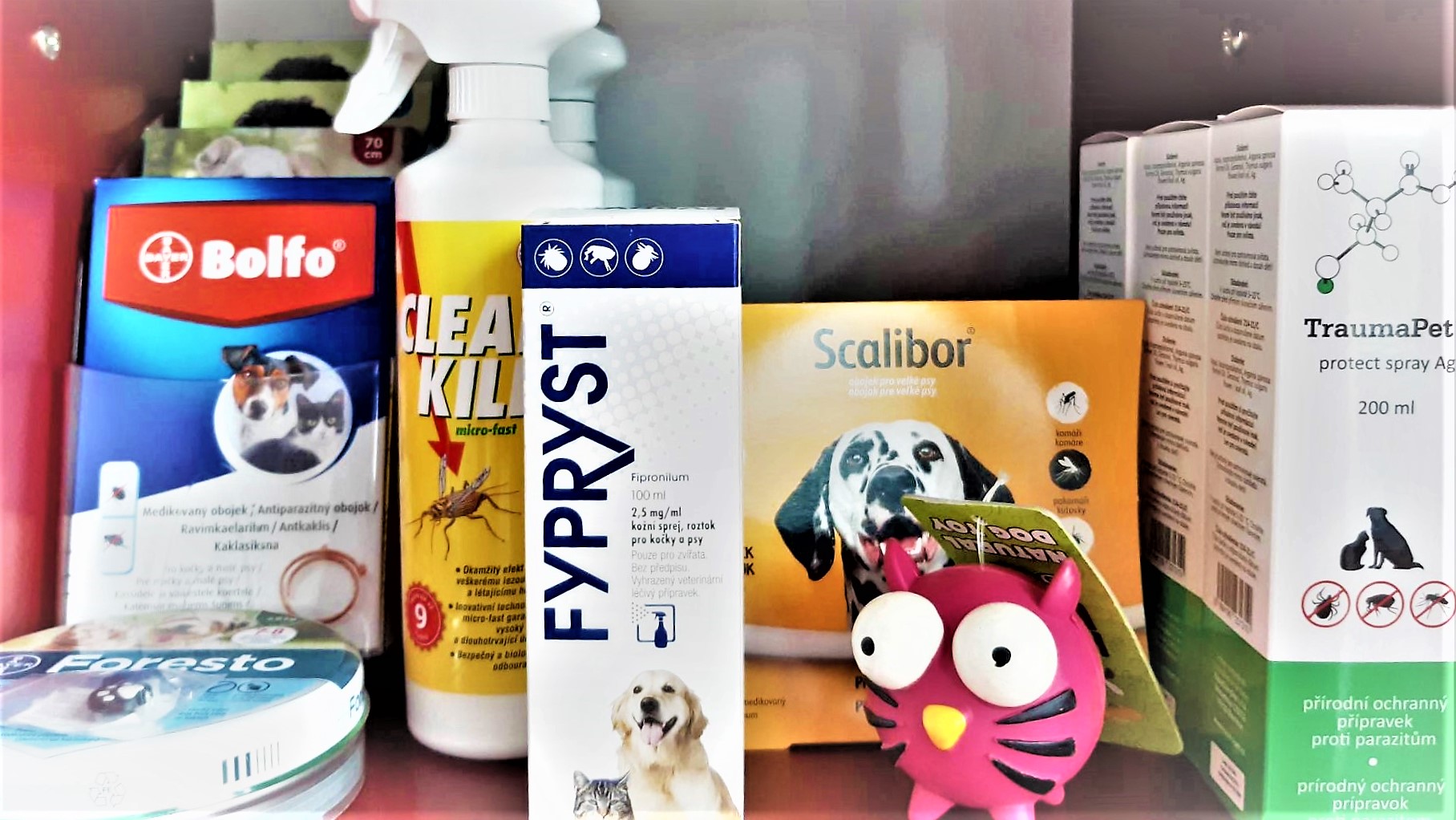 Horská veterinární klinika foto 6