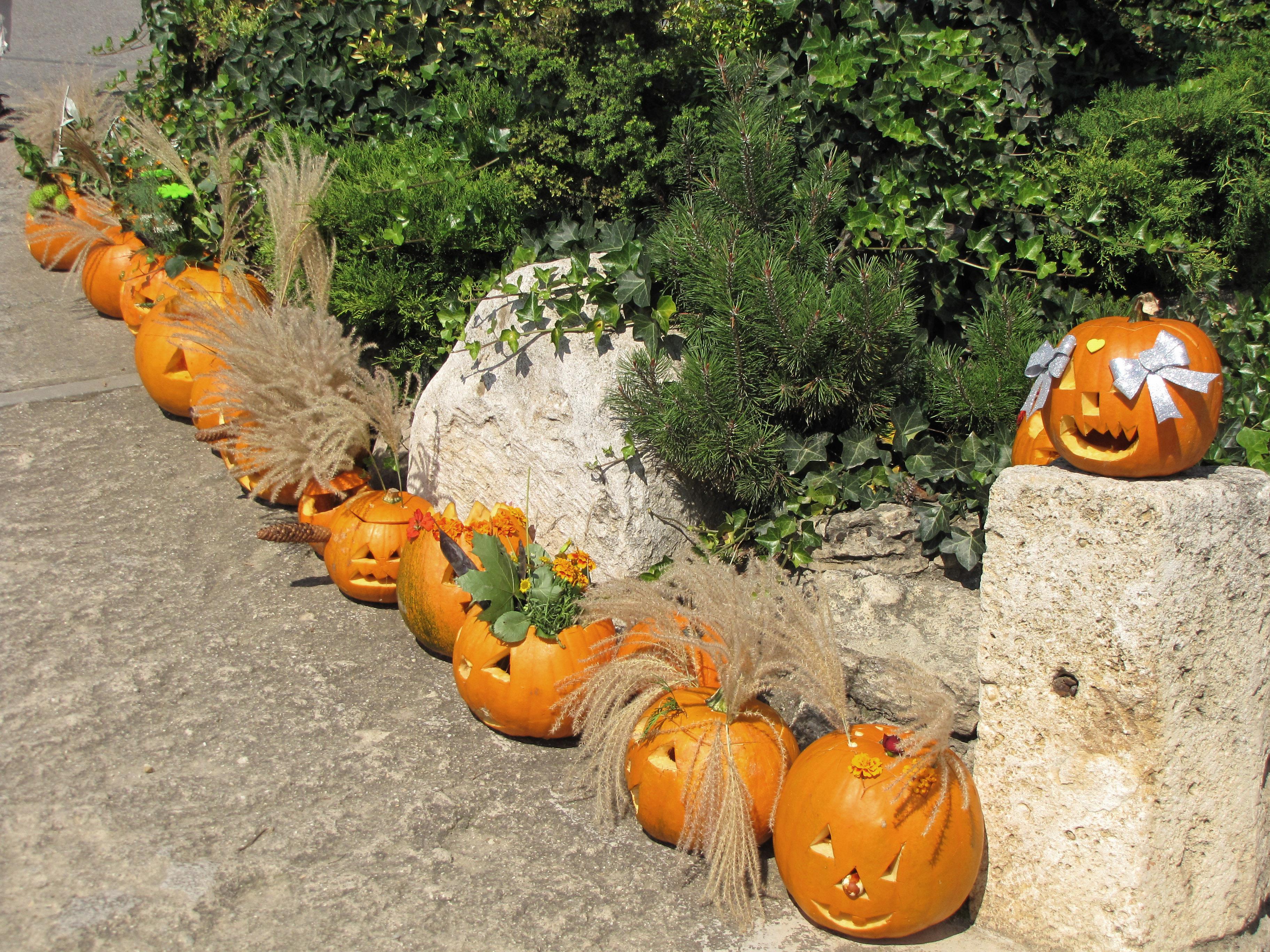 Penzion Archivní sklepy Valtice foto 6