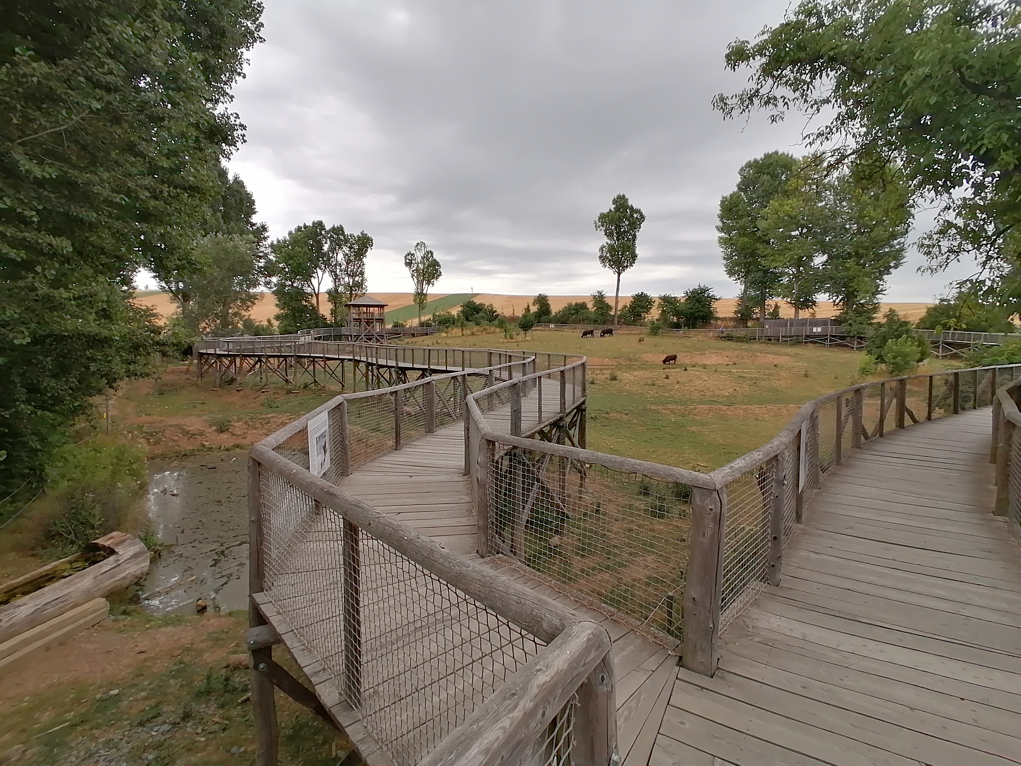Přírodní koupací biotop Modrá foto 3