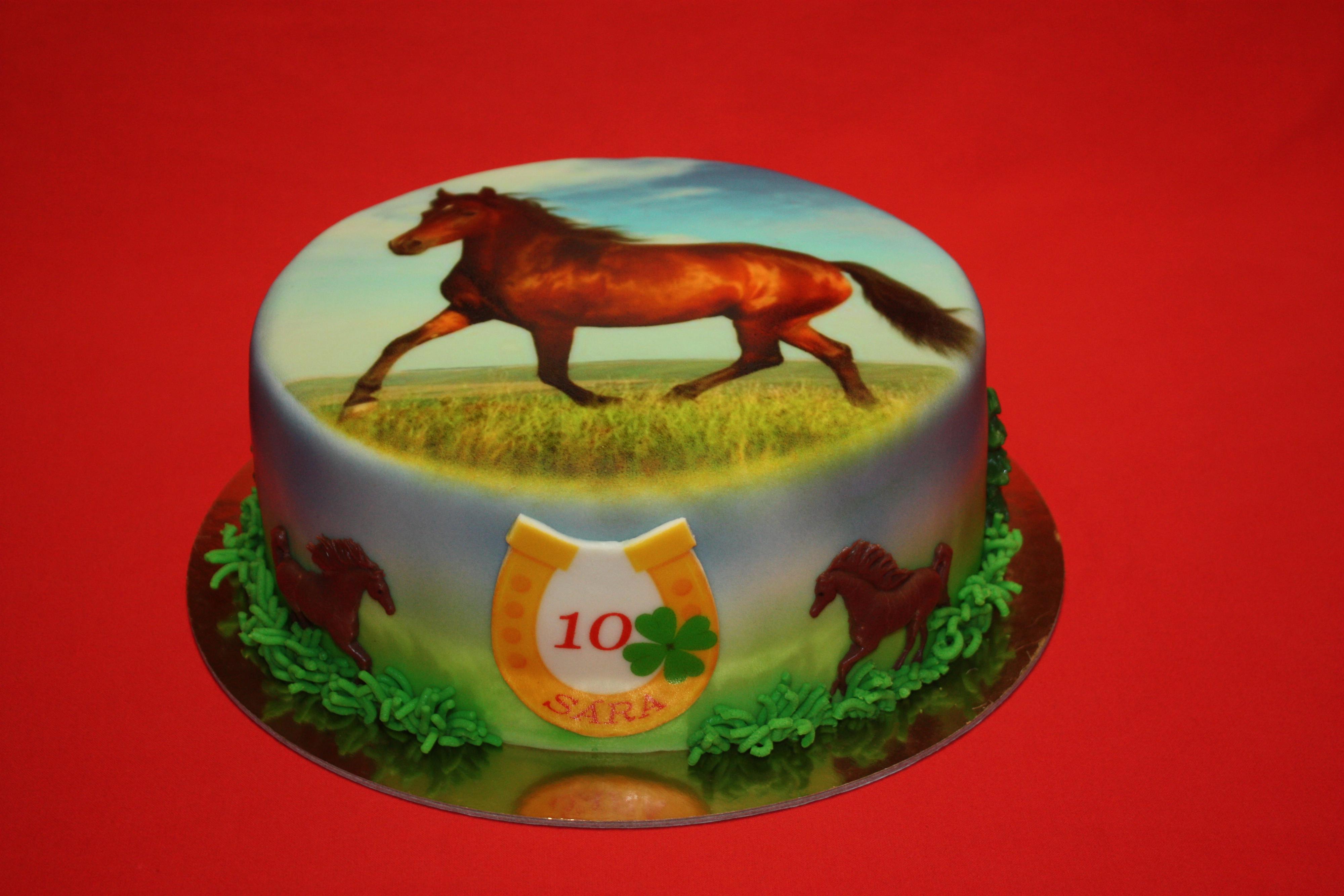 Hrátky s dorty foto 2