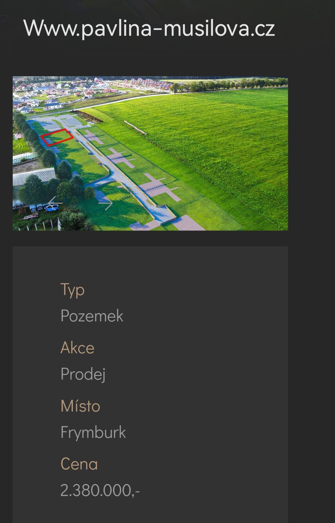 Realitní makléřka Pavlína Musilová foto 5