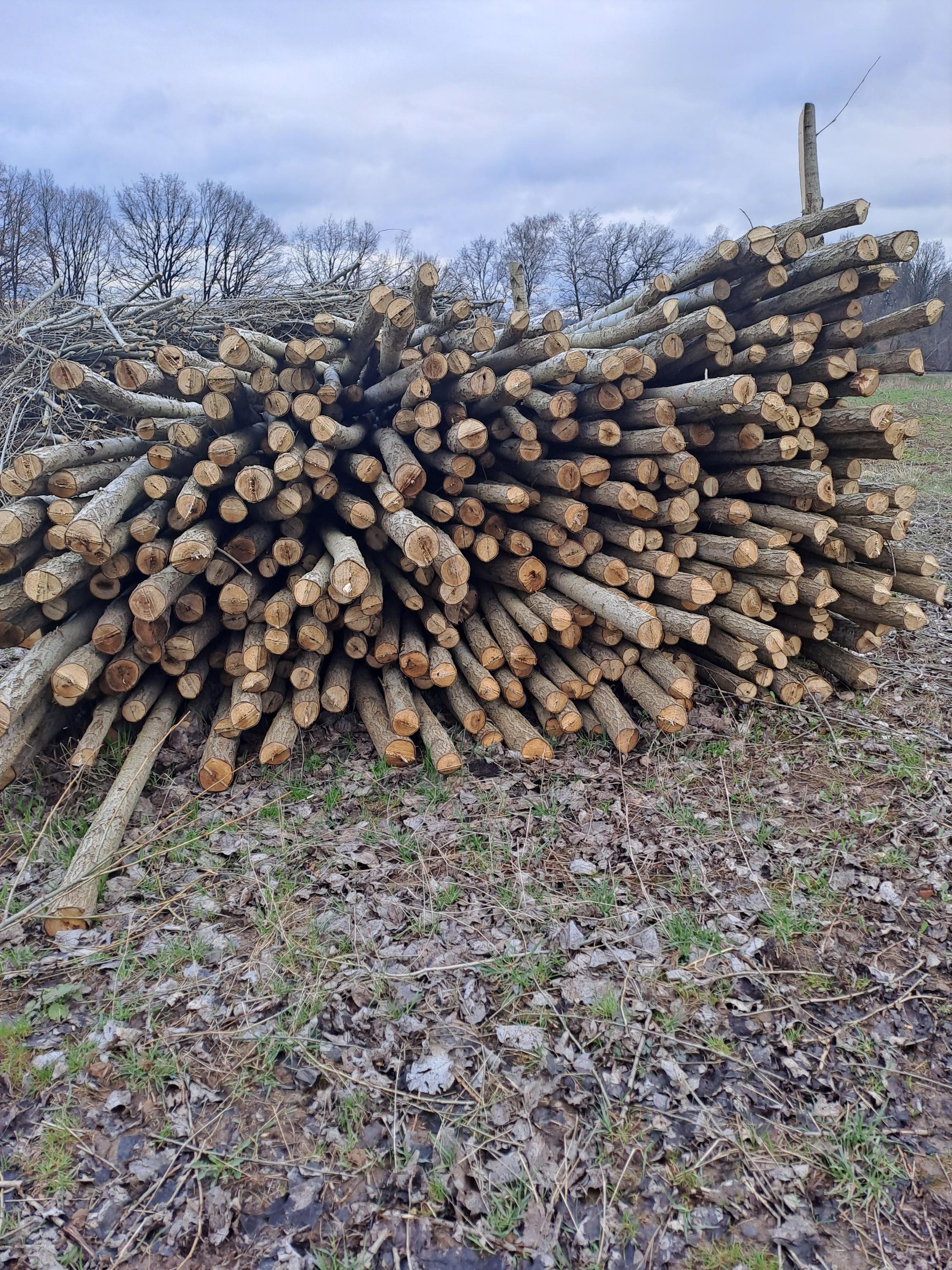 Zemní práce-capek foto 2