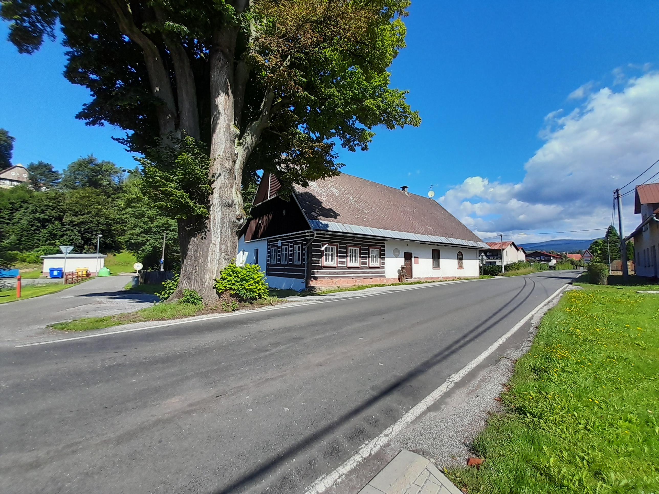 Poloroubenka Dřevěnka foto 2