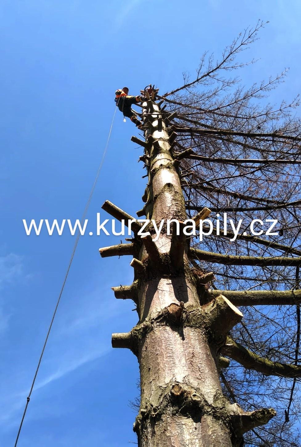 Kurzynapily.cz foto 6