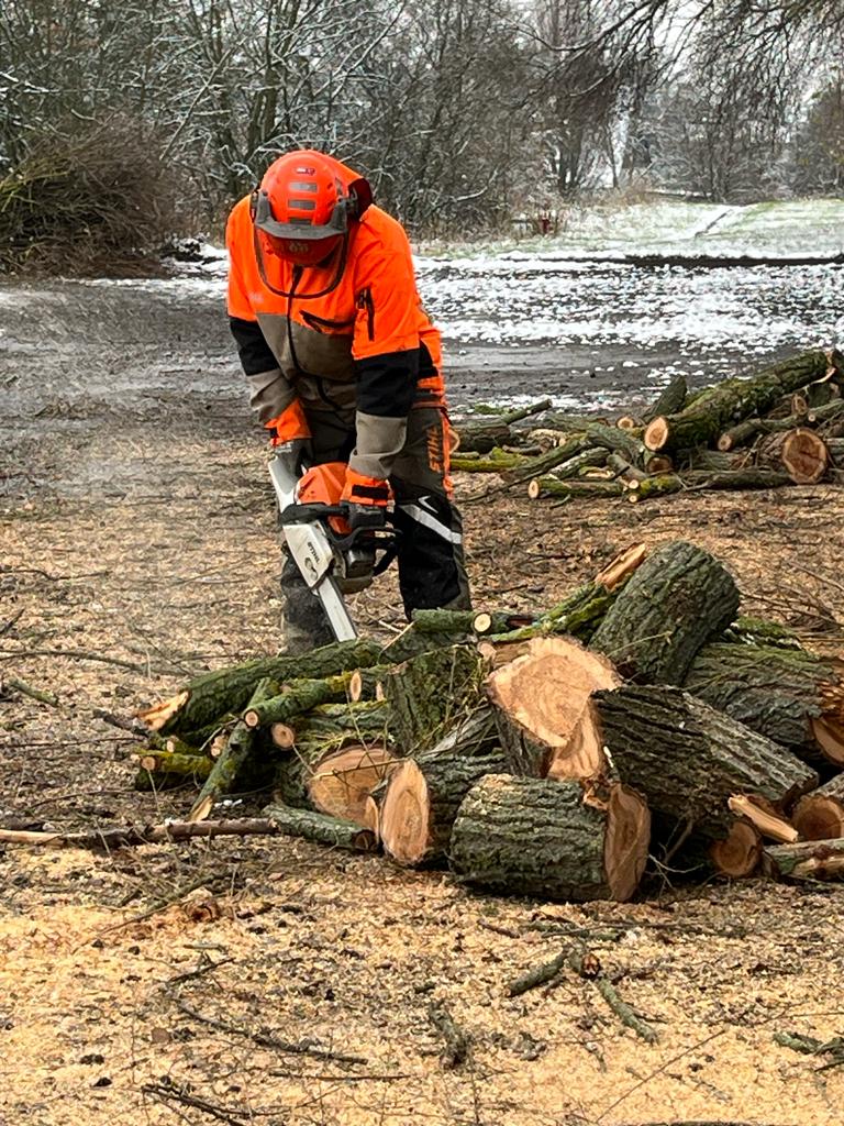 Palivové dříví Petr Skoumal foto 2