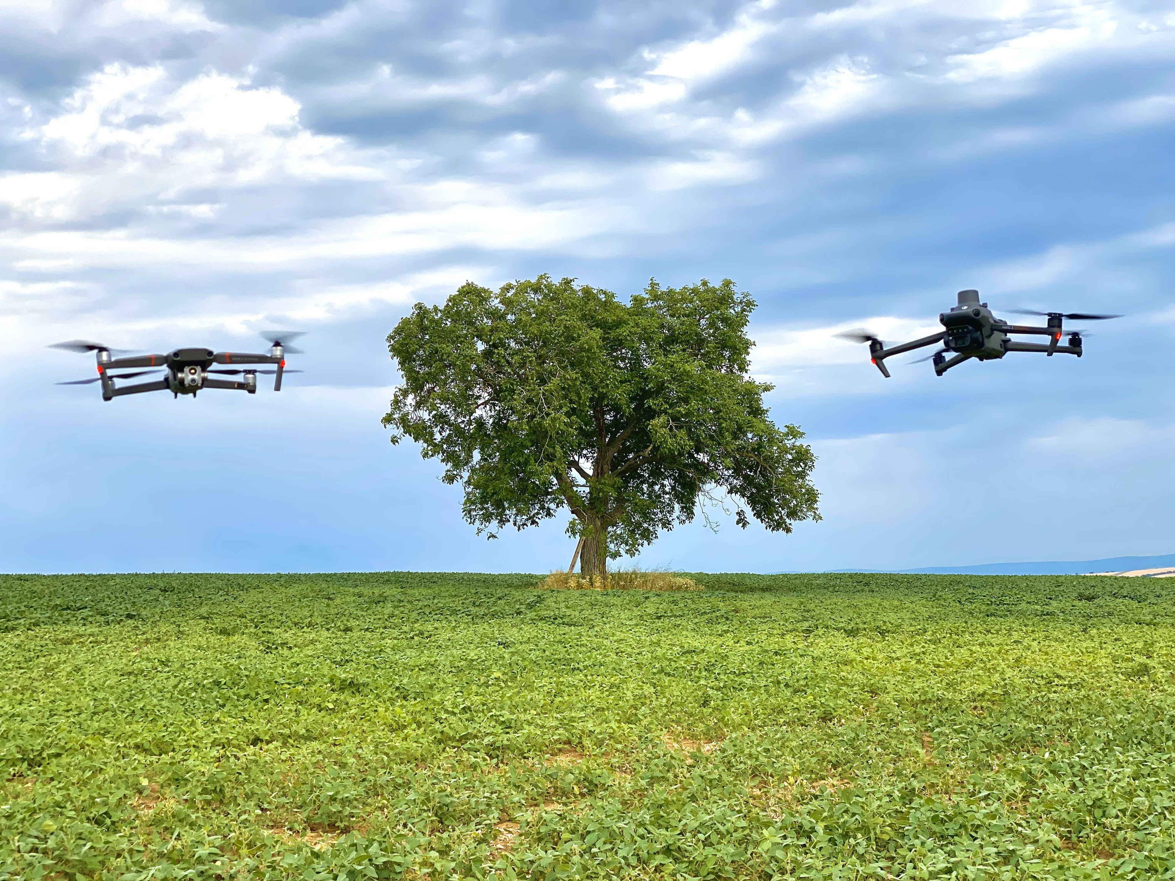 Inspection services s.r.o. foto 3