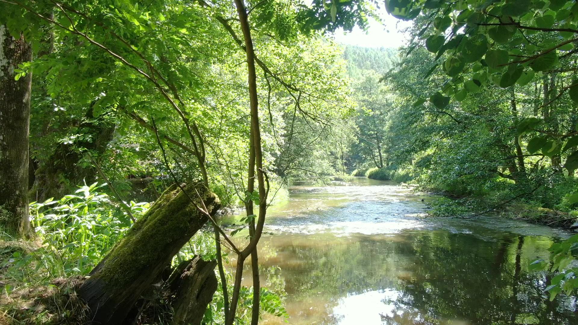 Ranč v údolí foto 2